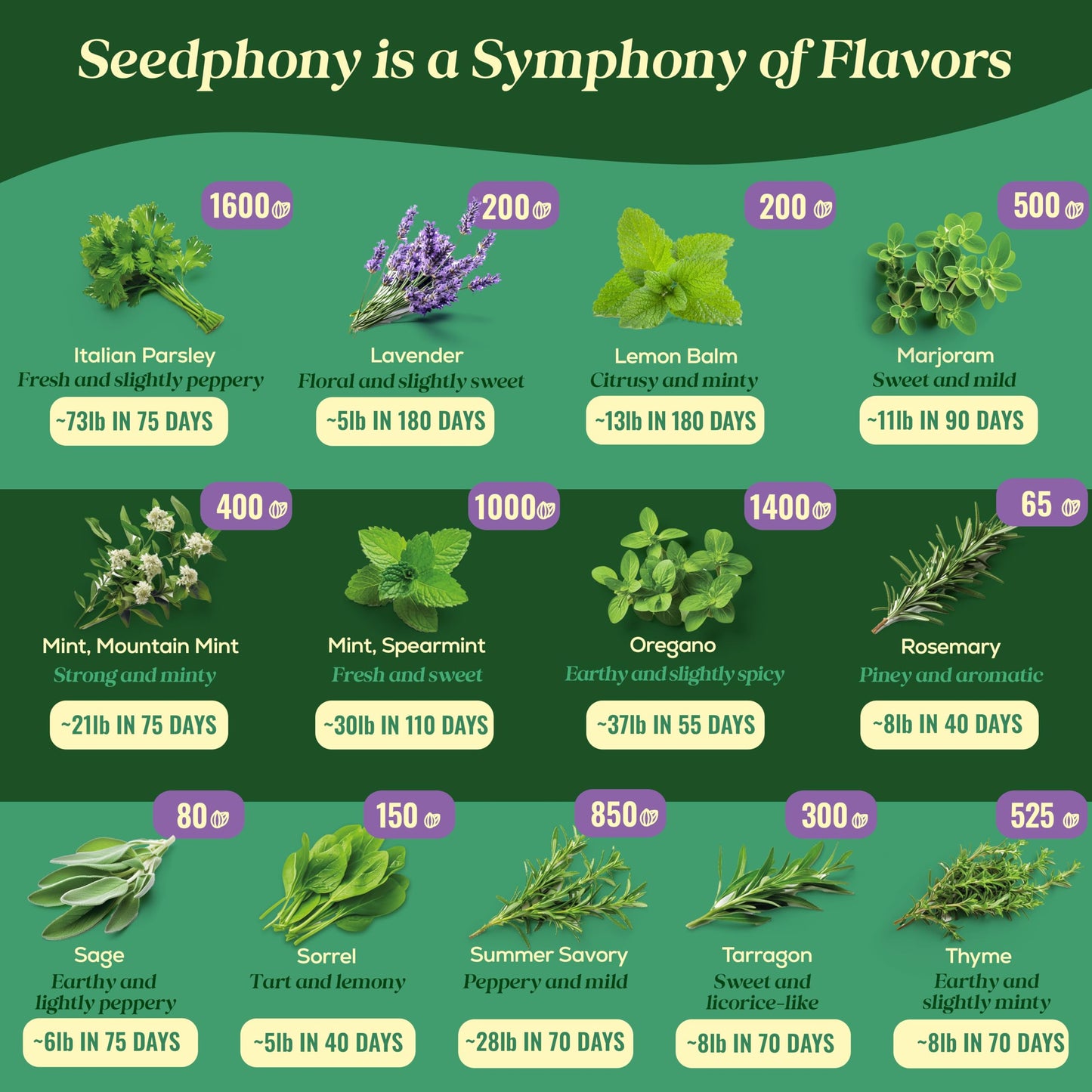 25 Culinary Herb Seeds Variety Pack - 13,055+ Non-GMO Heirloom Herbs Seeds for Planting Indoor & Outdoor: Rosemary, Basil, Catnip, Cilantro, Dill, Parsley, Oregano, Thyme, Mint, Tarragon, Lavender