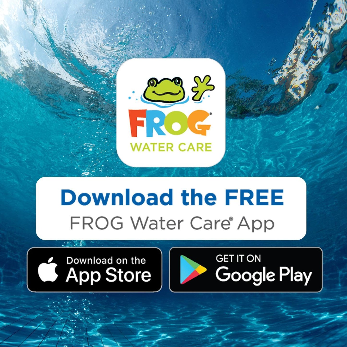 FROG Algae Gone - Dry Formula Algaecide Removes Green and Yellow Algae for In-Ground & Above-Ground Pools up to 30,000 Gallons - Chemical Pool Maintenance & Treatment - 3 Pods