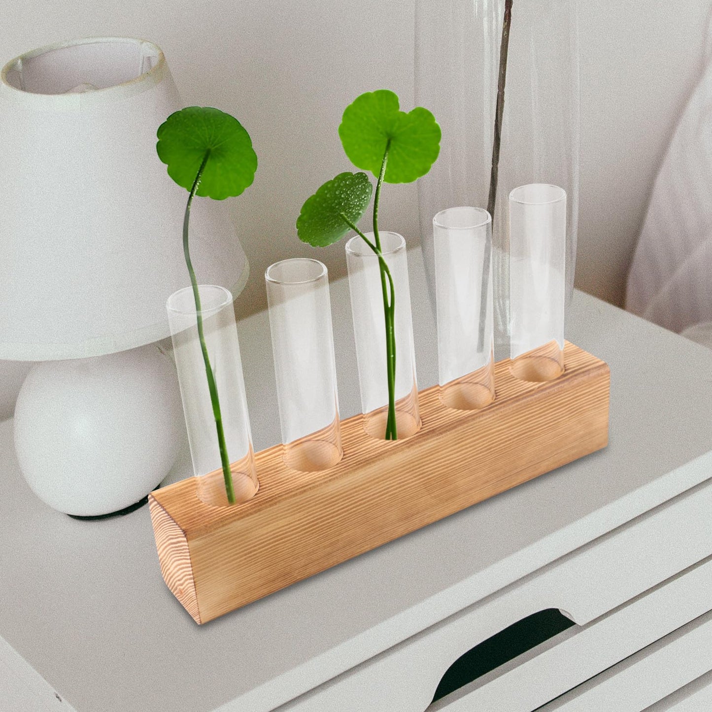 CORHAD Hydroponic Plant Terrarium with 5-Hole Glass Vase and Wooden Stand, Desktop Water Planter for Indoor Home Décor and Plant Propagation