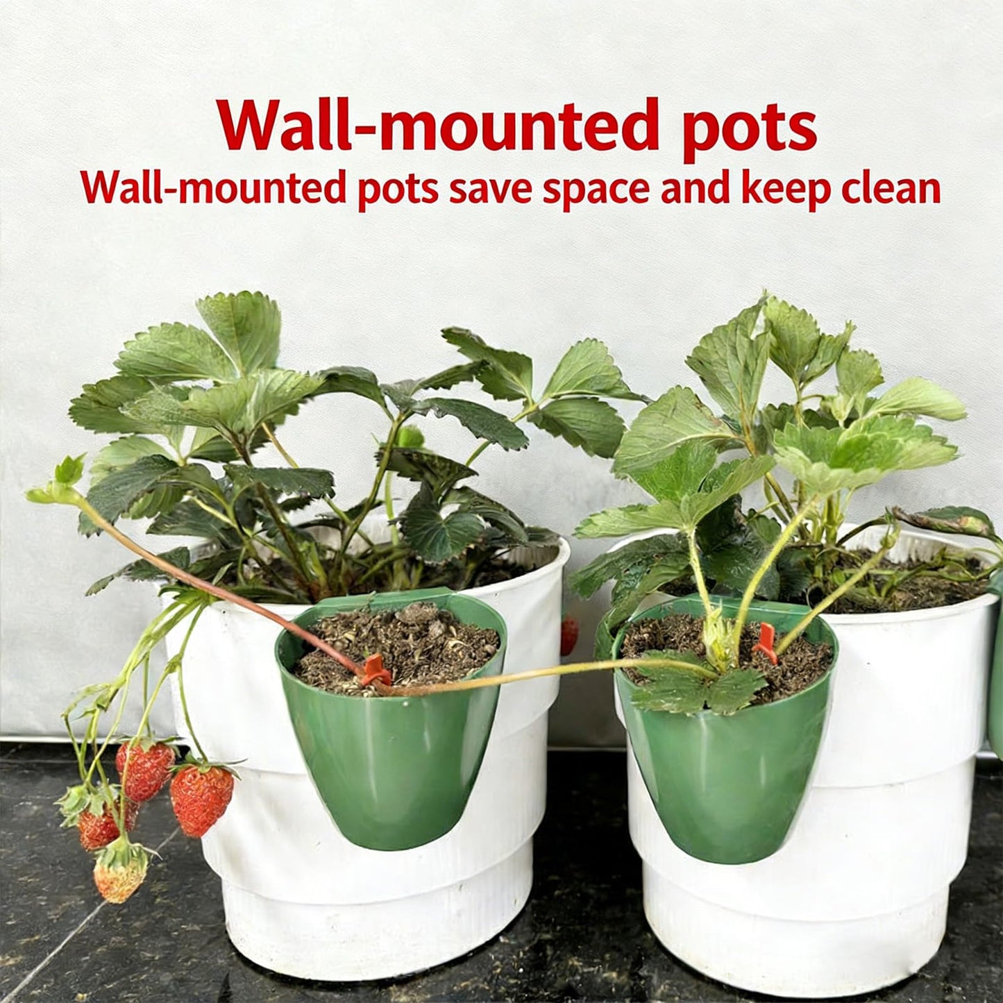 HEIMA STUDIO Strawberry Propagation Cups with Runner Forks, Breathable Plant Starter Pots for Rooting Runners, Greenhouse Seedling Containers for Balcony & Garden, Food Grade with Holes