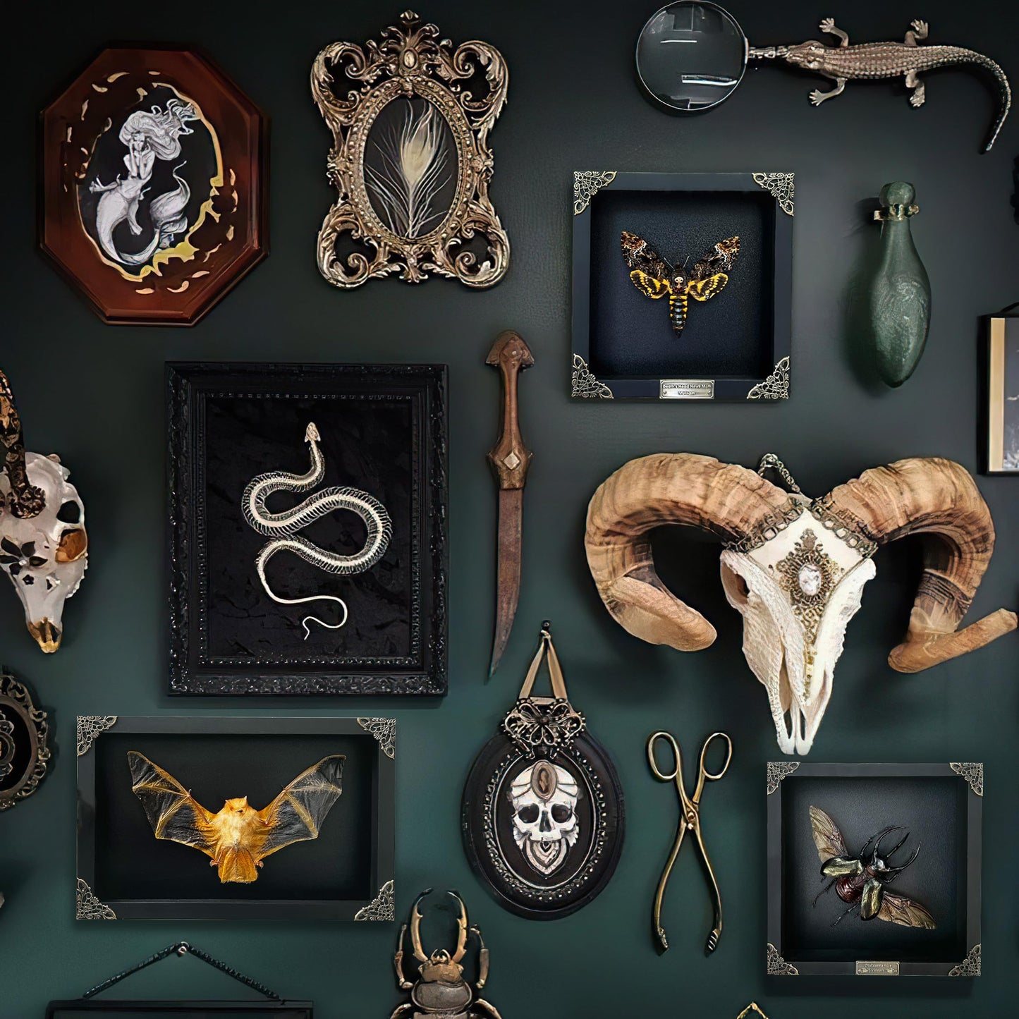 Death Head Moth Acherontia Skull Butterfly Handmade Shadow Box Oddity Curiosities Unique Gift Taxidermy Collectables Tabletop Wall Art Home Decor Living Gallery Bedroom K18-01-DE-MT