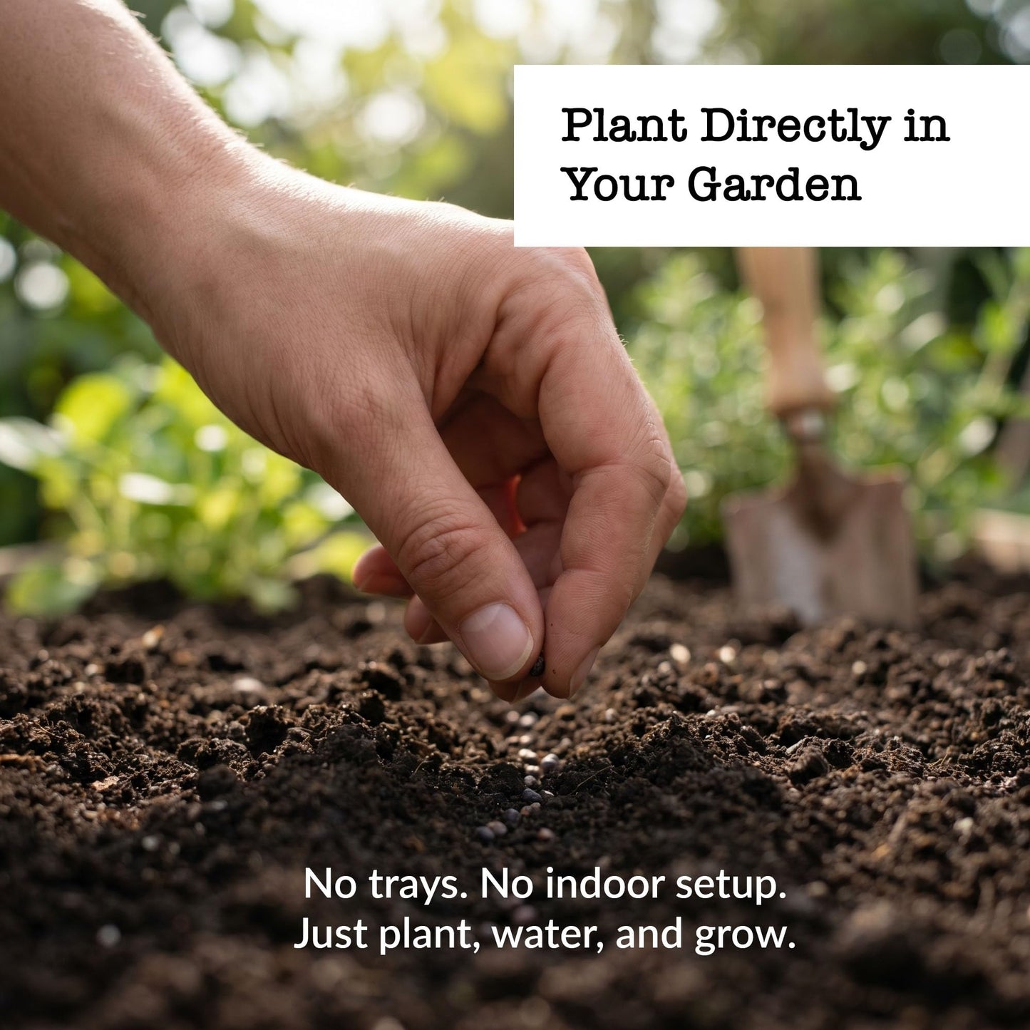 Ferry-Morse Easy Grow Garden Seed Variety Pack (10 Pack) – Organic Vegetable & Flower Seeds, Direct Sow Garden Kit for Raised Beds & Containers, Includes Pollinator-Friendly Varieties