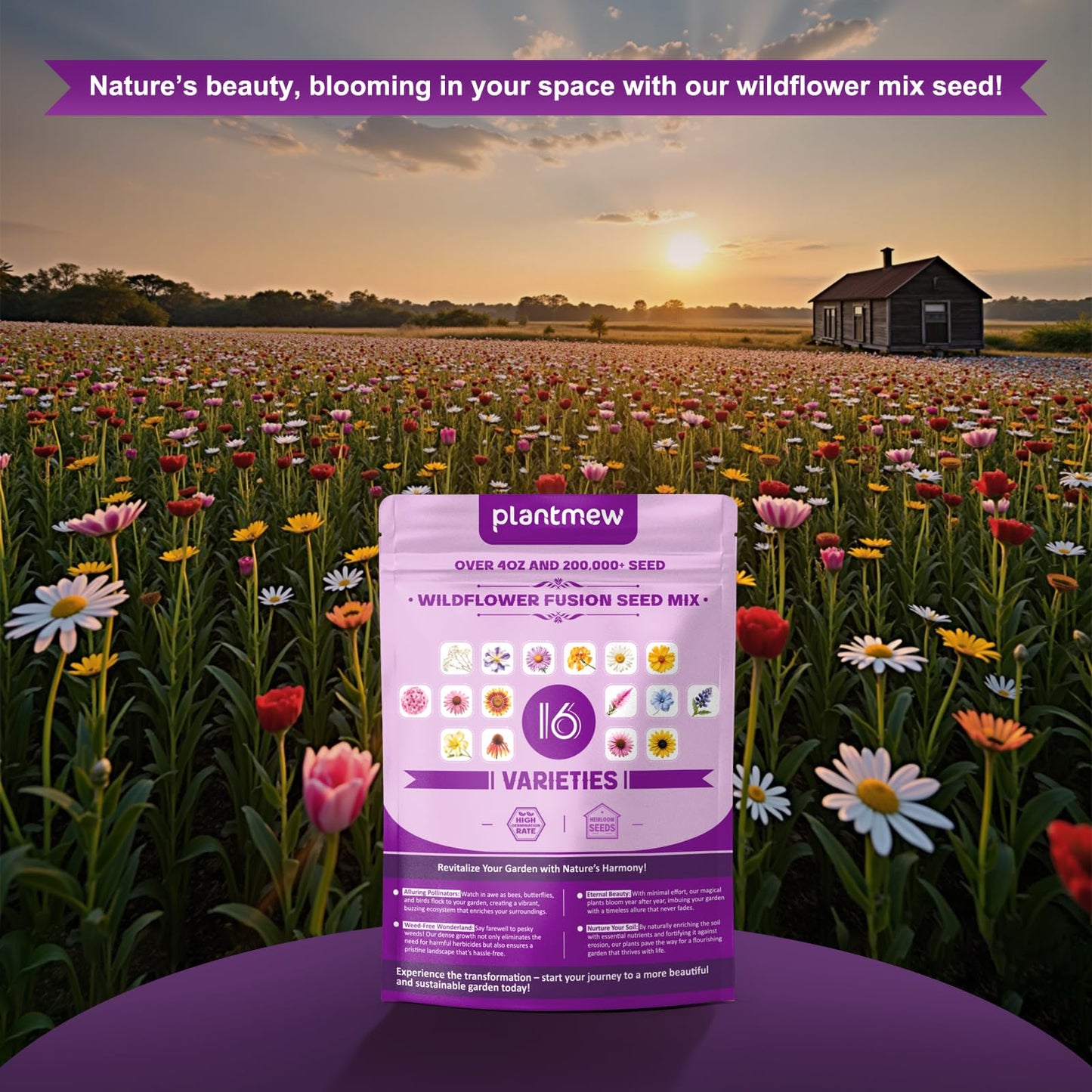 200,000+ Wildflower Seeds [4oz] 16 Variety Perennial Mix - Heirloom Seeds for Pollinator Gardens | Attracts Bees/Birds/Butterflies | High Germination Rate for Indoor & Outdoor