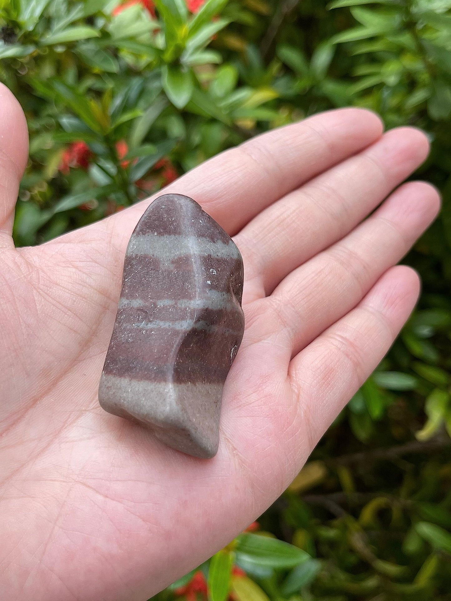 GAF TREASURES 5 Pcs Shiva Lingam Tumbled Stones, Polished Shiva Lingam Gemstone, Shiva Lingam Healing Crystals (Shiva Lingam)