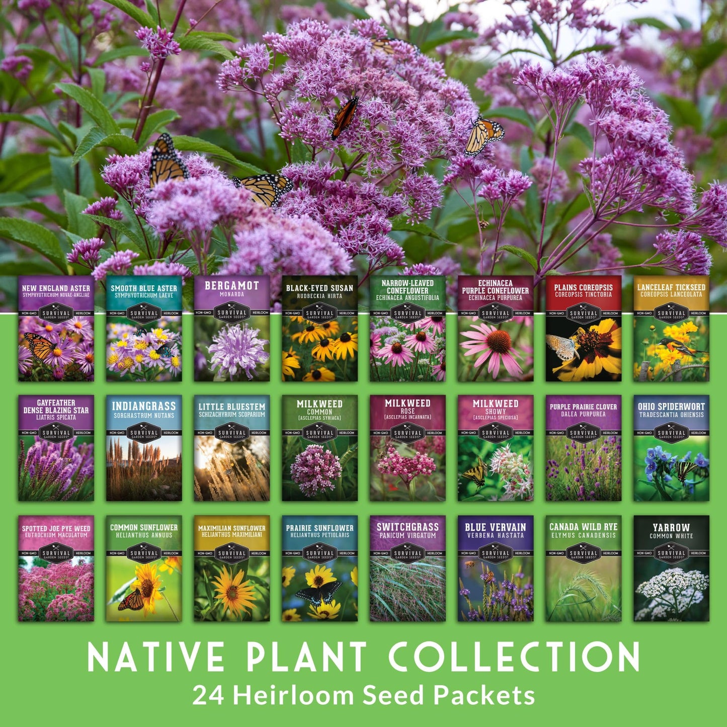Native Wildflower Seeds for Planting 24 Variety Pack – Perennial & Annual North American Flowers for Butterfly & Bee-Friendly Pollinator Gardens – Non-GMO Heirloom – Survival Garden Seeds