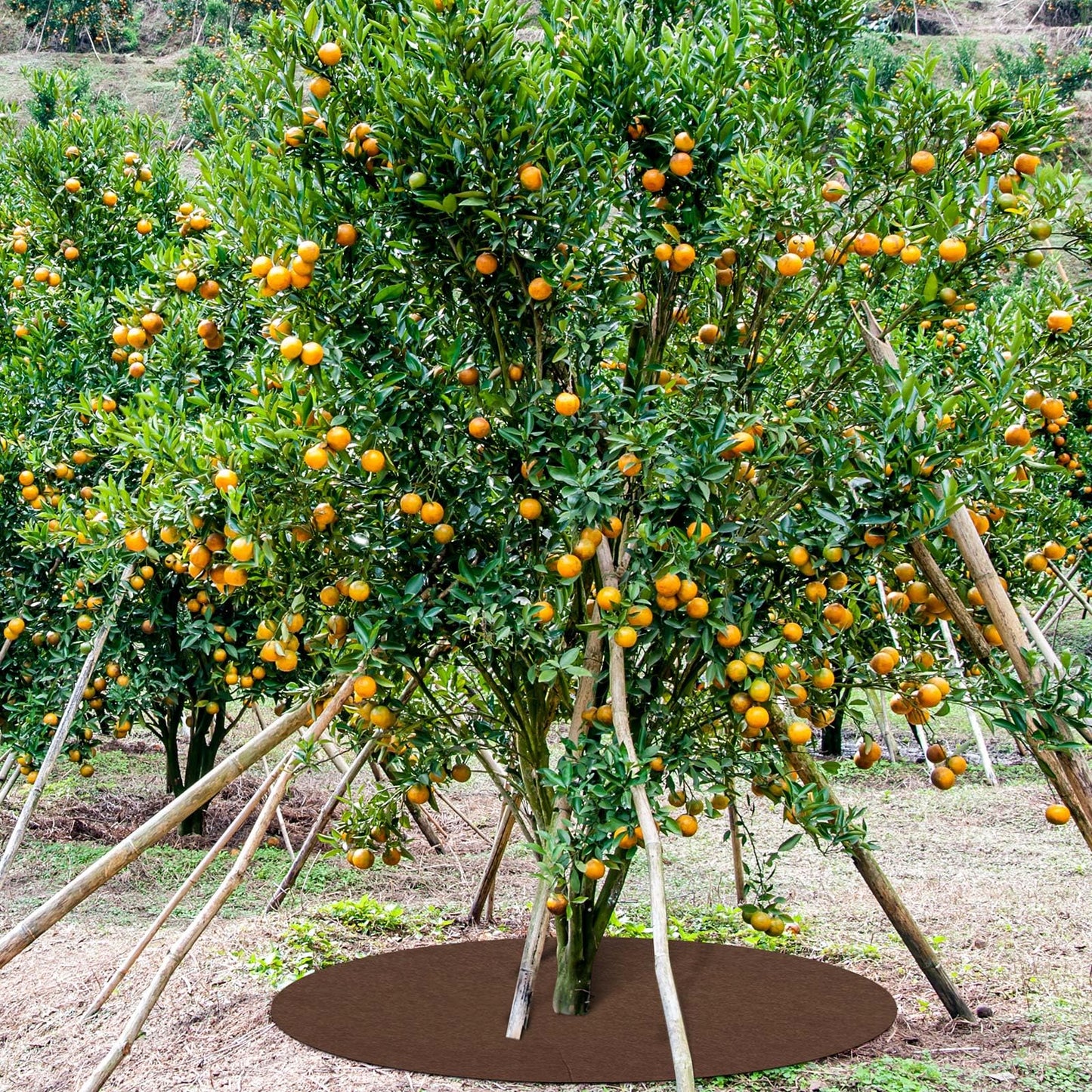 Shimeyao 16 Pcs 32.2 Inch Non Woven Tree Mulch Ring Round Tree Weed Barrier Mat Reusable Landscape Protector Base Barrier Fabric for Weed Root Protection (Coffee)