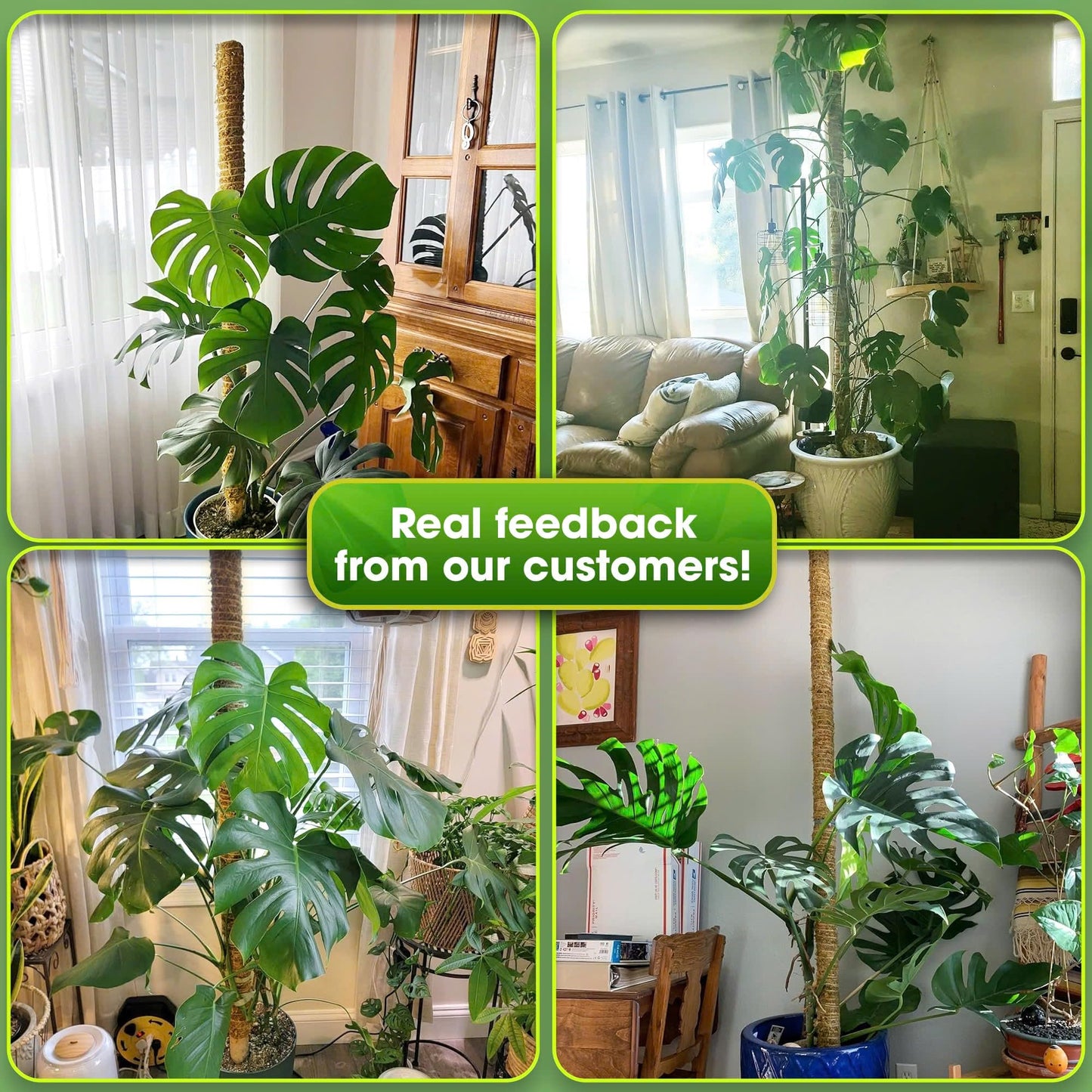 DUSPRO 80 Inches Large Moss Pole for Plants Monstera, Plant Stakes for Indoor Plants, Monstera Plant Support, Plant Support/Plant Pole for Big Climbing Plants Indoor (1pc., 80'')