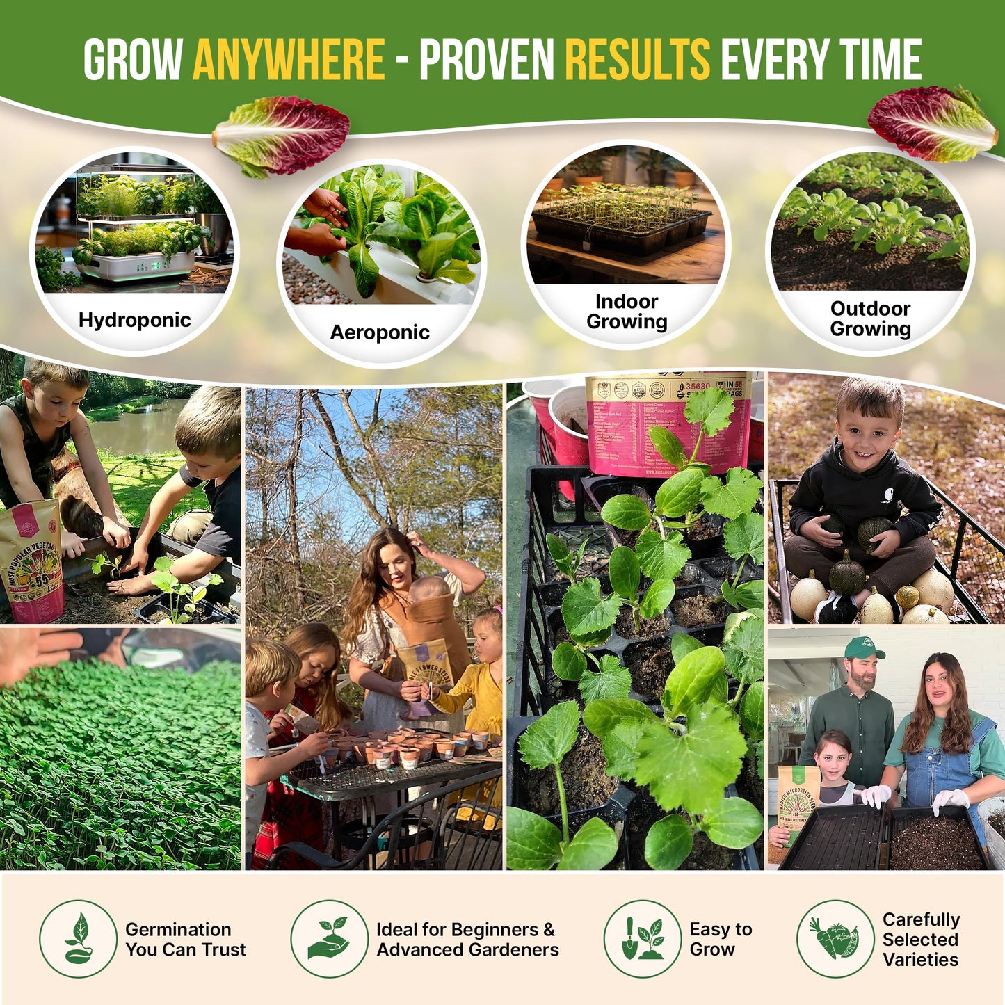 Organo Republic 15 Lettuce & Salad Greens Seeds Variety Pack 17700+ Non-GMO Heirloom Lettuce Seeds for Indoors & Outdoors Garden, Hydroponics, Aerogarden - Arugula, Kale, Spinach, Swiss Chard, Lettuce