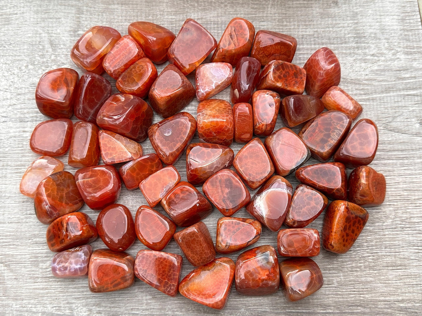 Wholesale Tumbled Fire Agate Stones, Polished Fire Agate Rocks (0.25 Pound)