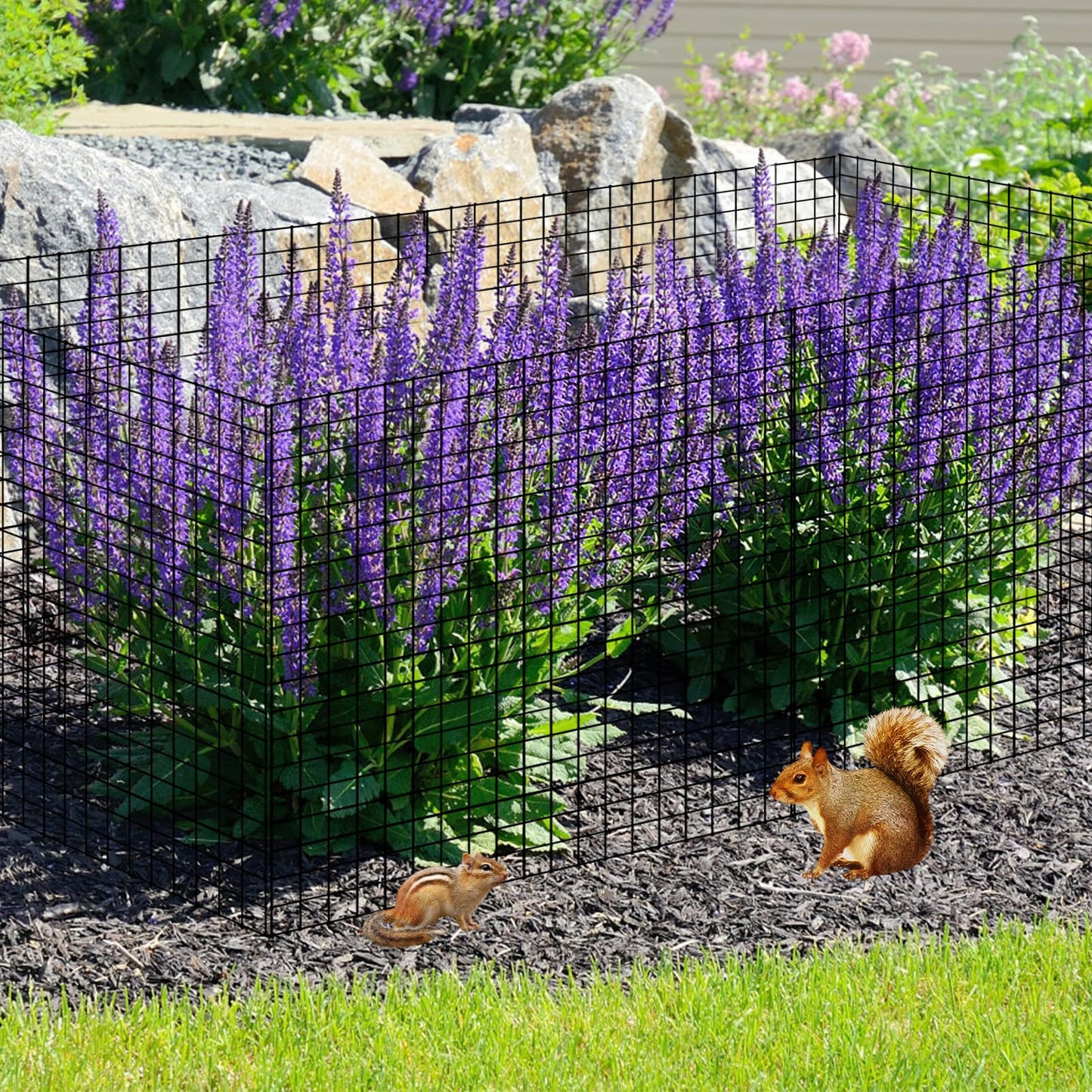 36 PCS Round Plant Protector from Animals, 12Pack 12'' x 12'' Metal Plant Cages，30Pcs Metal Mesh to Keep Animals Out, Garden Protection Bunny Barricades, Wire Plant Protectors for Rabbits Chicken Duck
