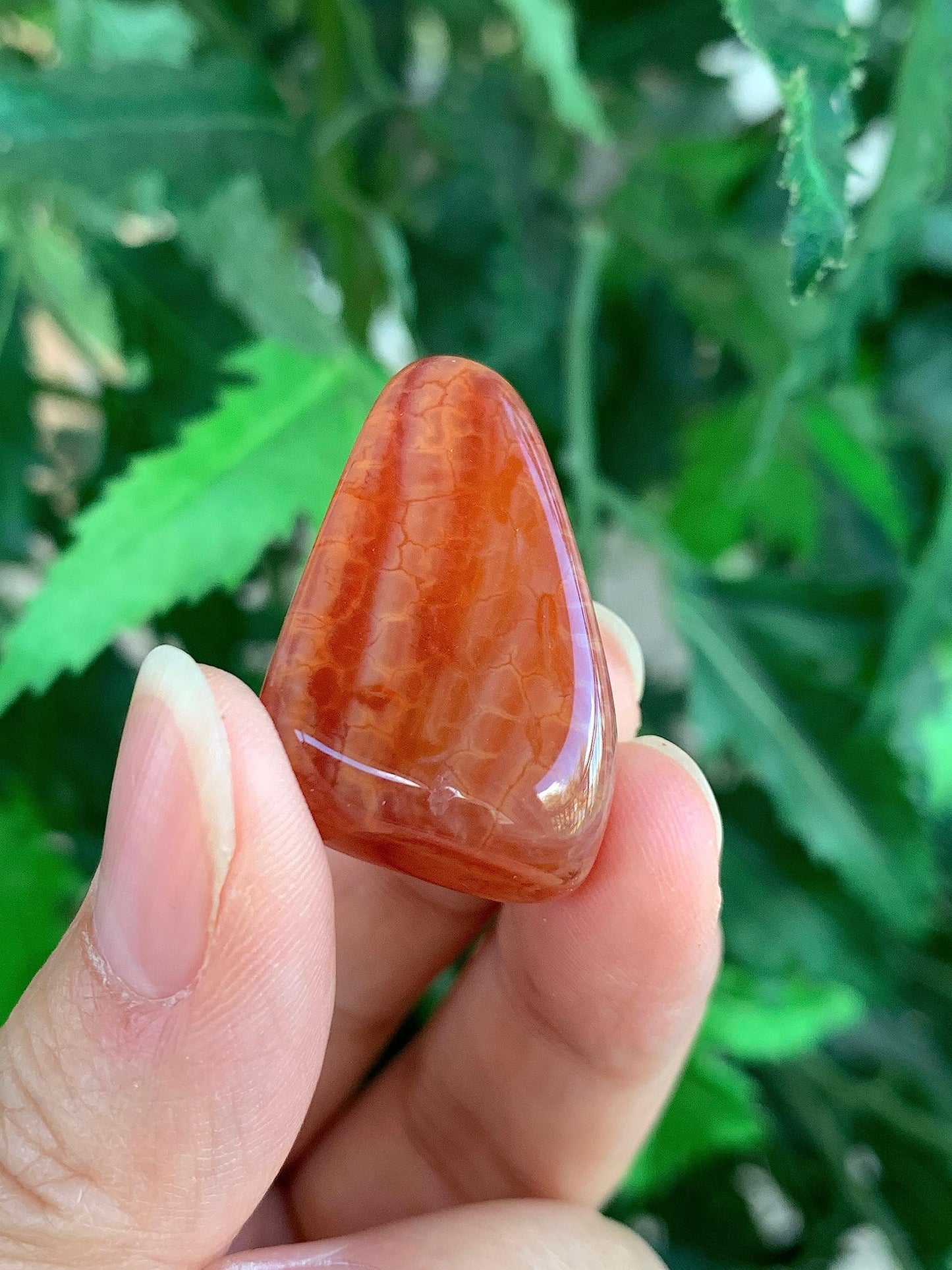 Wholesale Tumbled Fire Agate Stones, Polished Fire Agate Rocks (0.25 Pound)