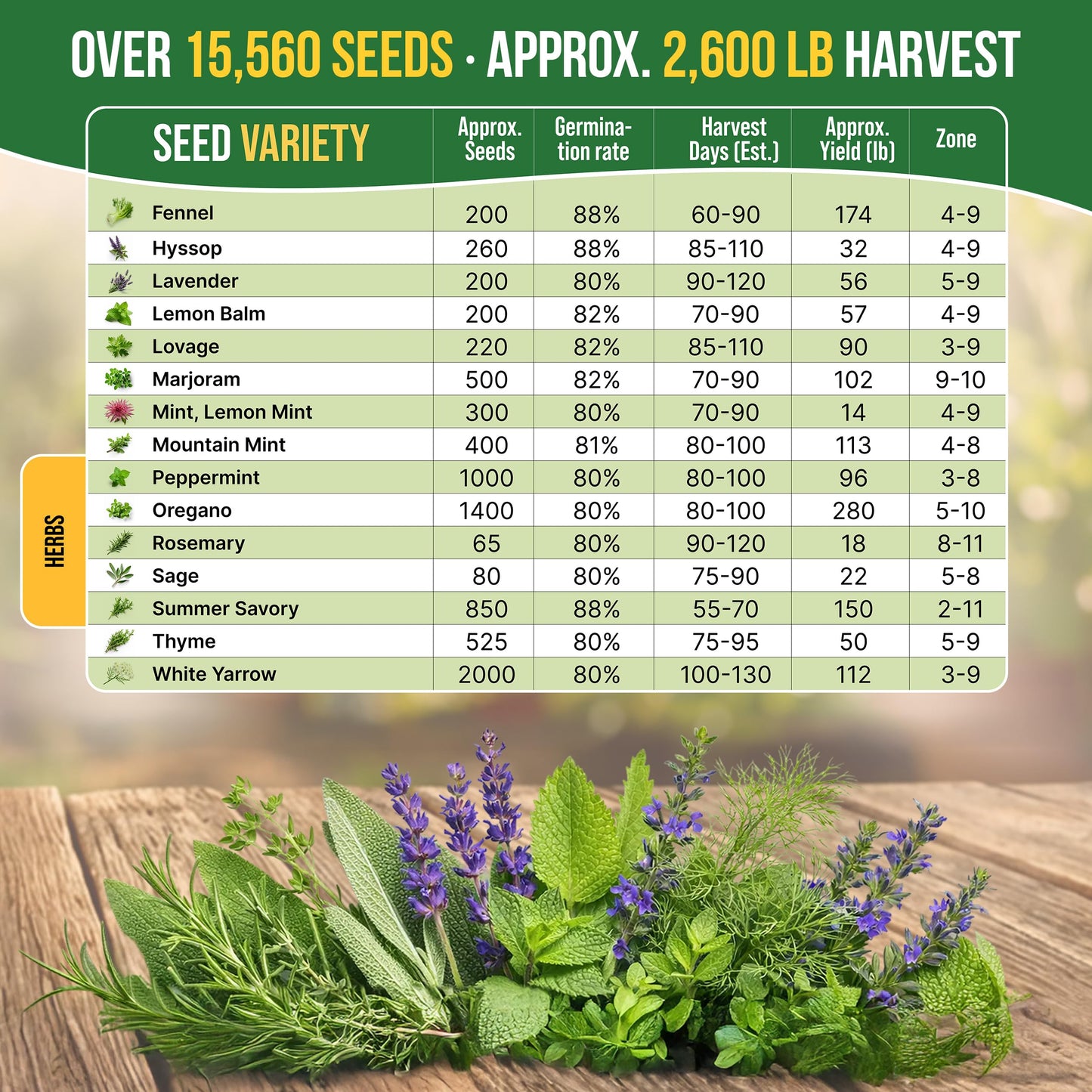 Organo Republic 30 Medicinal & Tea Herb Seeds Variety Pack 15,560+ Non-GMO Heirloom Garden Seeds for Indoor & Outdoors, Including Anise, Bergamot, Borage, Cilantro, Chamomile, Dandelion Seeds