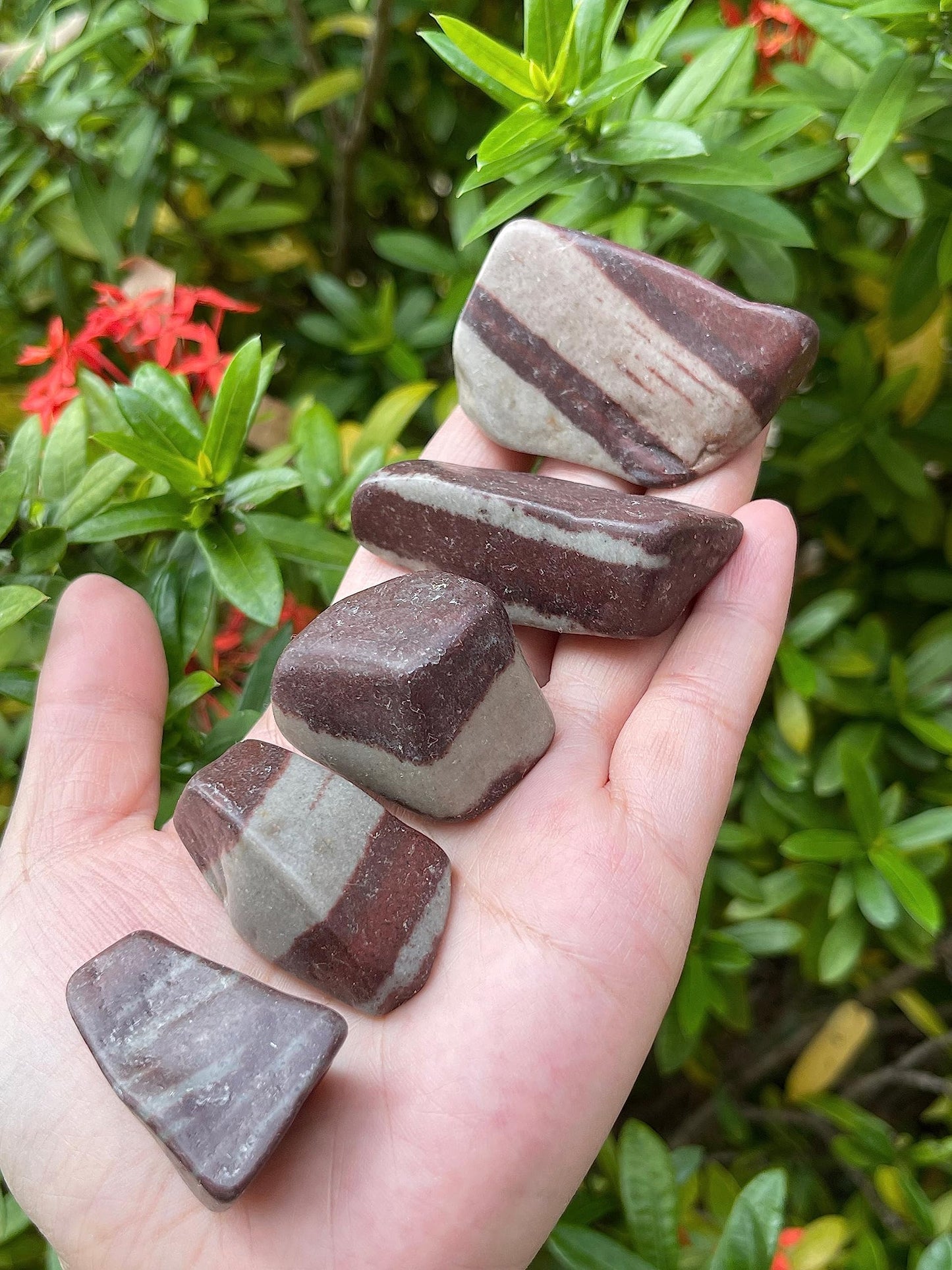 GAF TREASURES 5 Pcs Shiva Lingam Tumbled Stones, Polished Shiva Lingam Gemstone, Shiva Lingam Healing Crystals (Shiva Lingam)