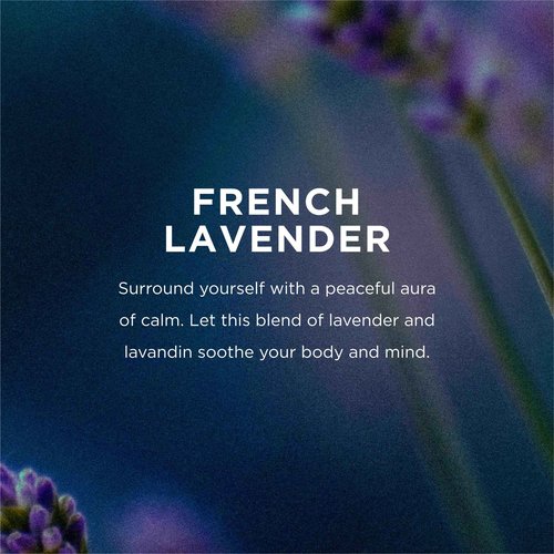 EO Body Lotion Refill, 1 Gallon, French Lavender, Organic Plant-Based, Botanical Extracts, Vitamin E with Pure Essential Oils