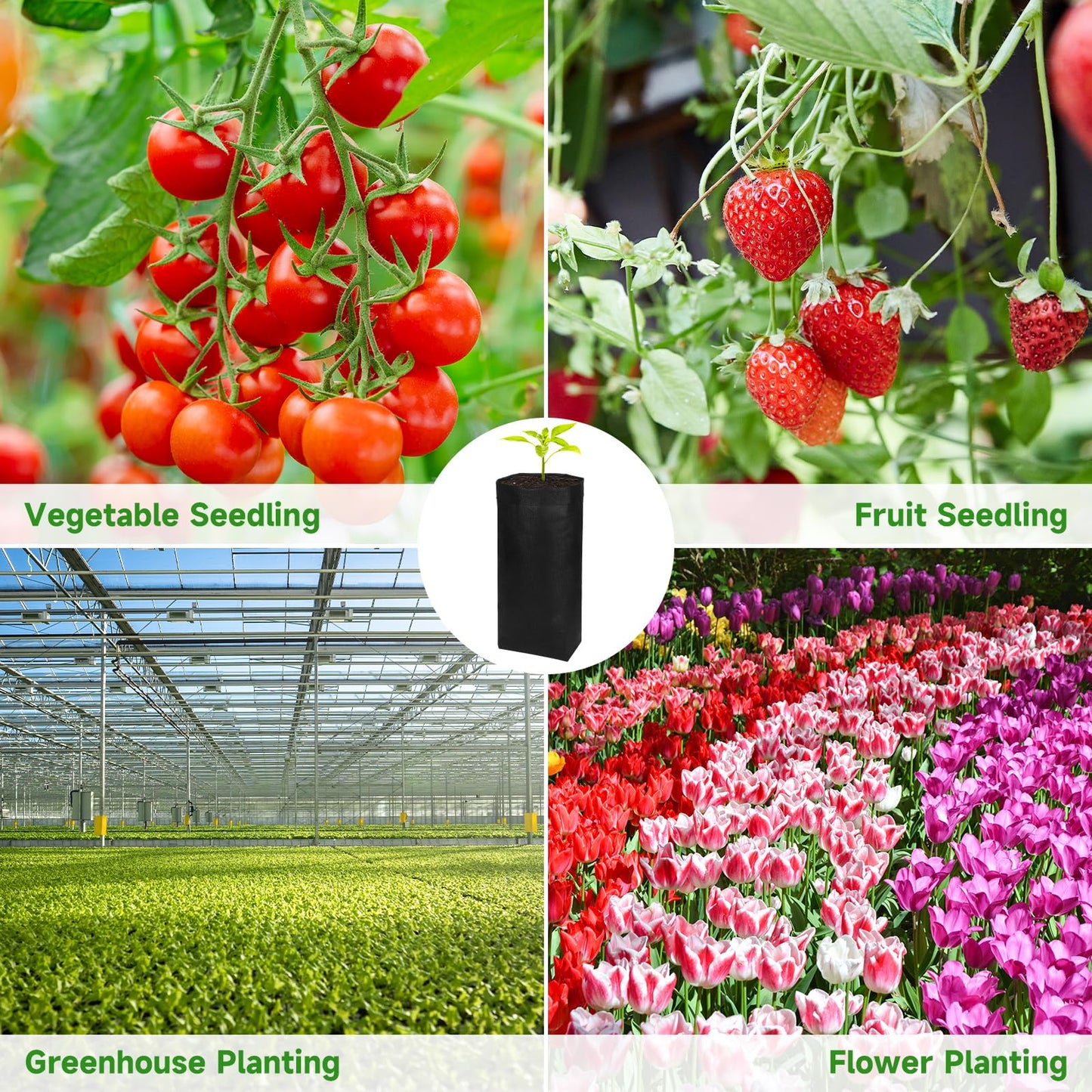 200PCS Nursery Bags 13.5" H Plant Grow Bags Black Biodegradable Non-Woven Fabric Grow Bags Breathable Fabric Pots Heavy Duty Cloth Pots for Vegetable Flower Seed Starting Plant Grow Soil Transplant