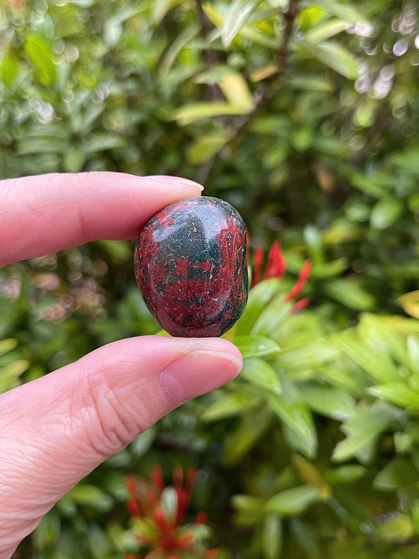 GAF TREASURES 5 Pcs Bloodstone Tumbled Stones, Polished Natural Bloodstone Gemstone, Bloodstone Healing Crystals (Bloodstone)