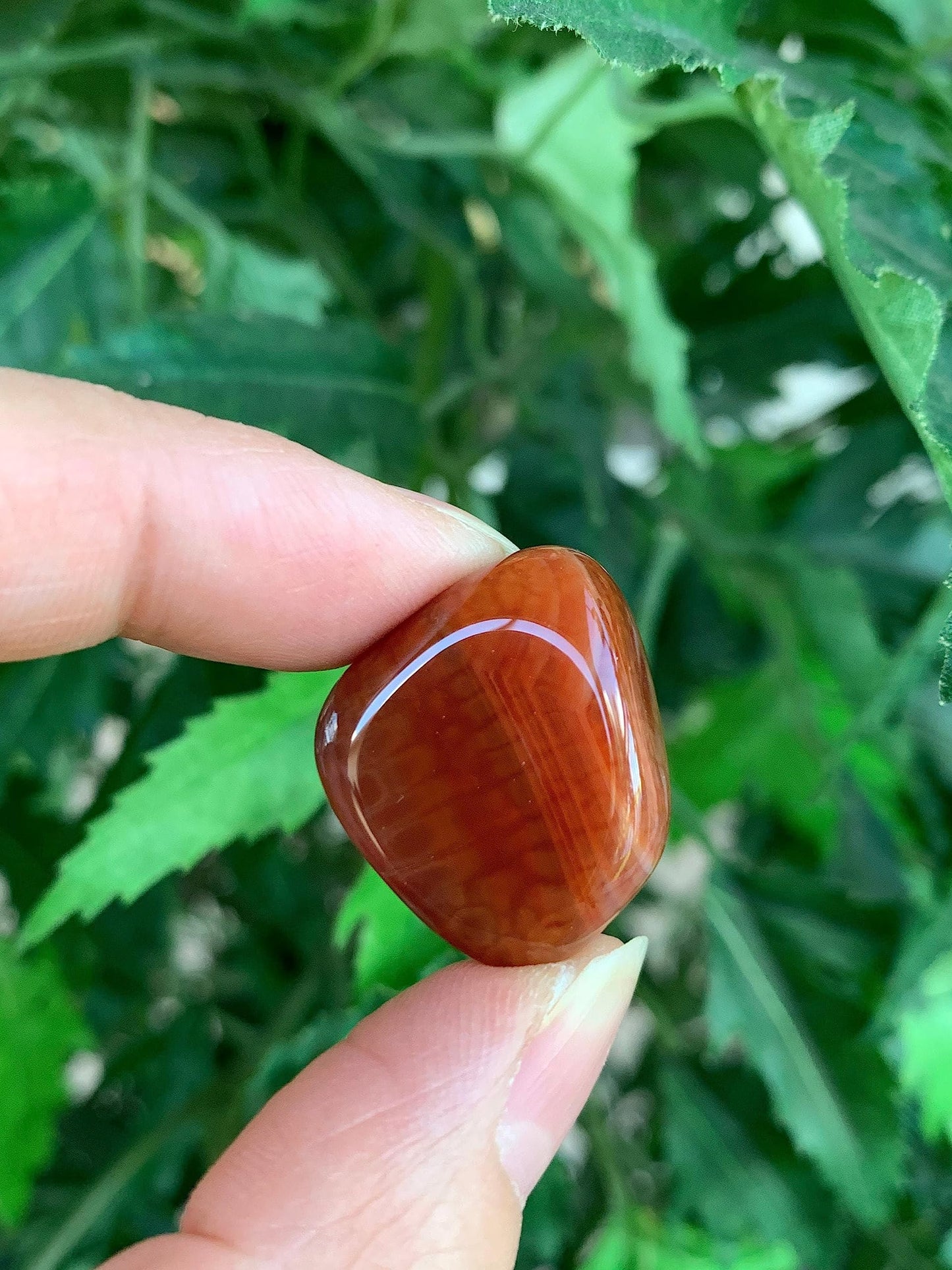 Wholesale Tumbled Fire Agate Stones, Polished Fire Agate Rocks (0.25 Pound)
