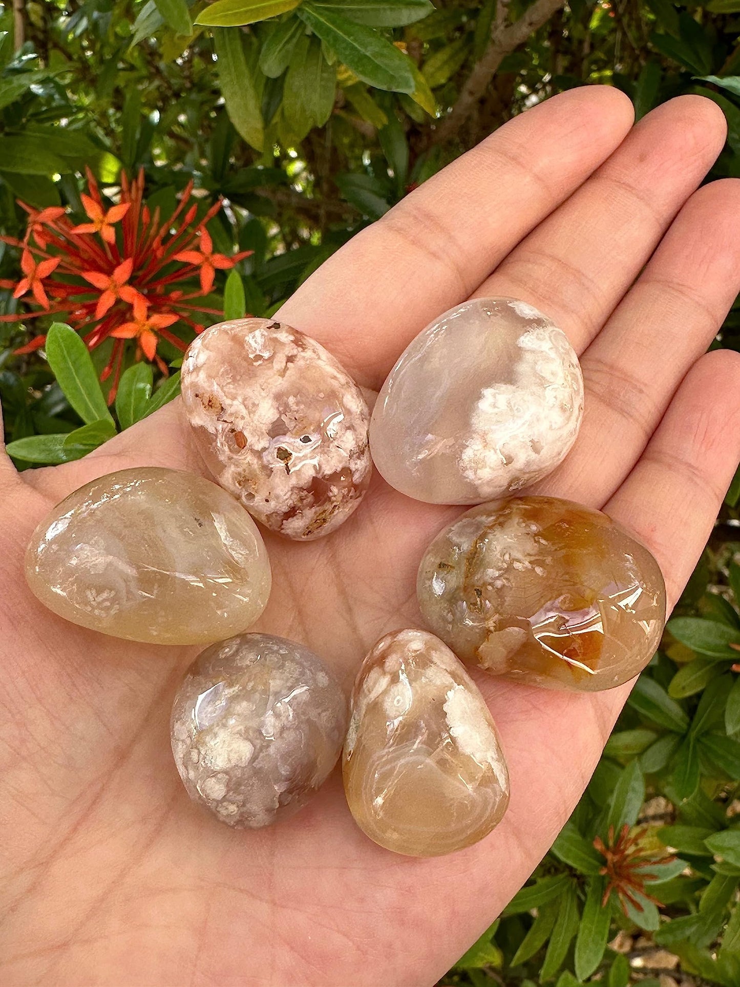 GAF TREASURES 5 Pcs Flower Agate Tumbled Stones, Polished Natural Flower Agate Gemstone, Flower Agate Healing Crystals (Flower Agate)