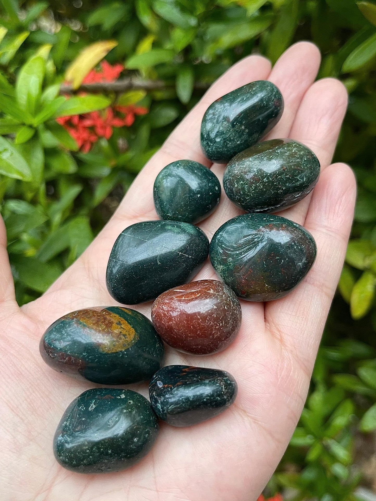 GAF TREASURES 5 Pcs Bloodstone Tumbled Stones, Polished Natural Bloodstone Gemstone, Bloodstone Healing Crystals (Bloodstone)