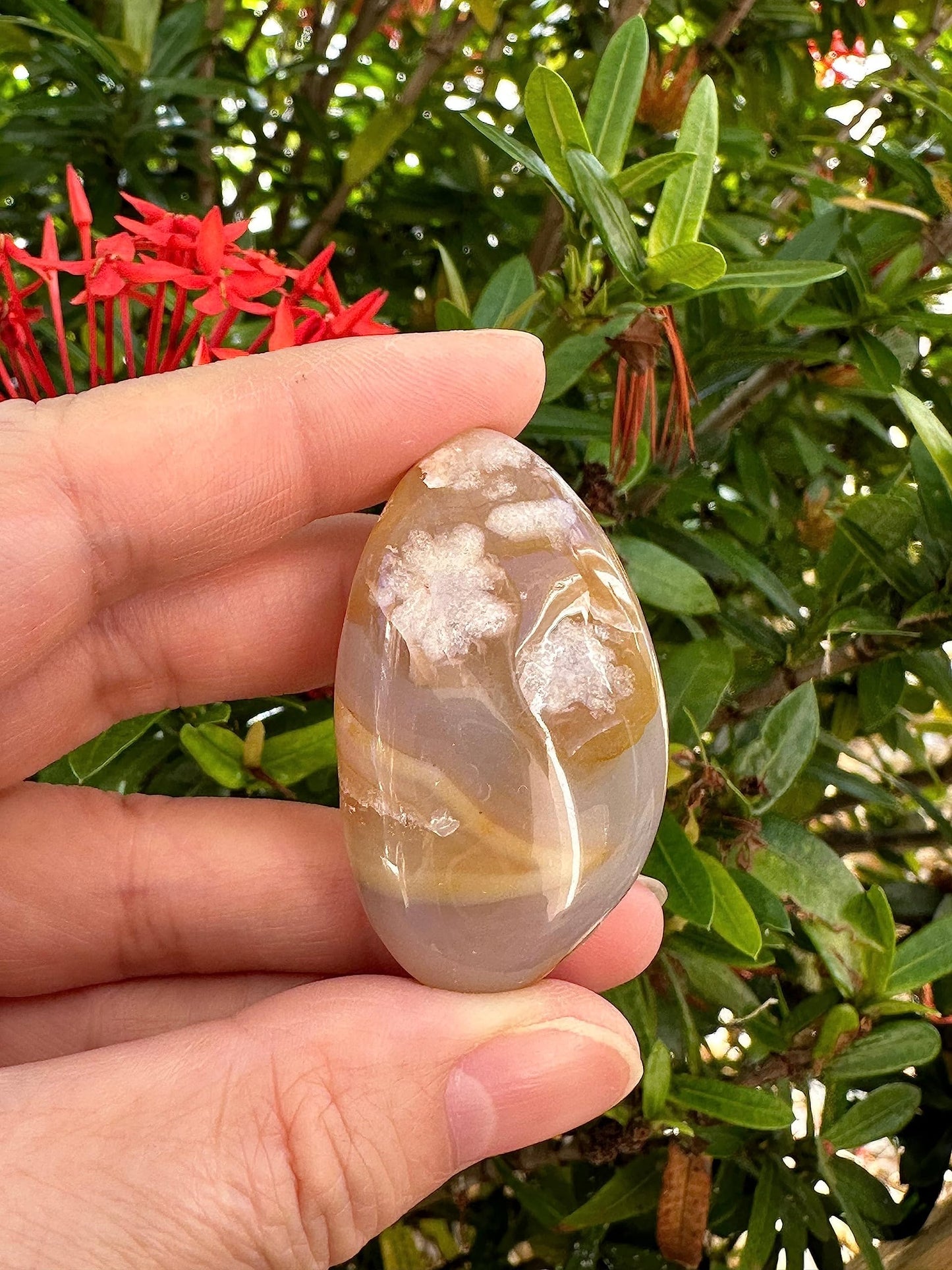 GAF TREASURES 5 Pcs Flower Agate Tumbled Stones, Polished Natural Flower Agate Gemstone, Flower Agate Healing Crystals (Flower Agate)