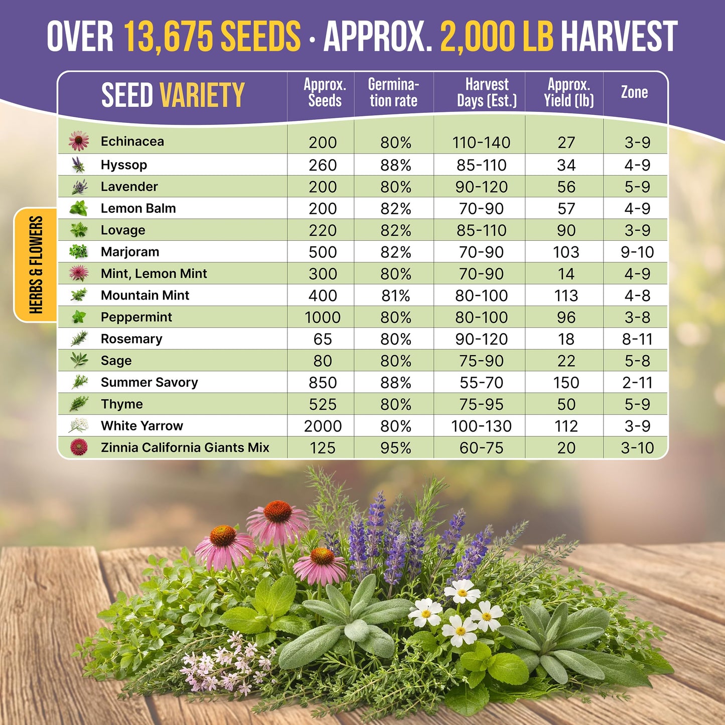 Organo Republic 30 Medicinal Tea Herb & Flower Seeds Variety Pack - 13600+ Non-GMO Heirloom Flower Seeds for Outdoor & Indoor Garden, Including Bergamot, Catnip, Calendula, Dandelion, Lovage, Zinnia
