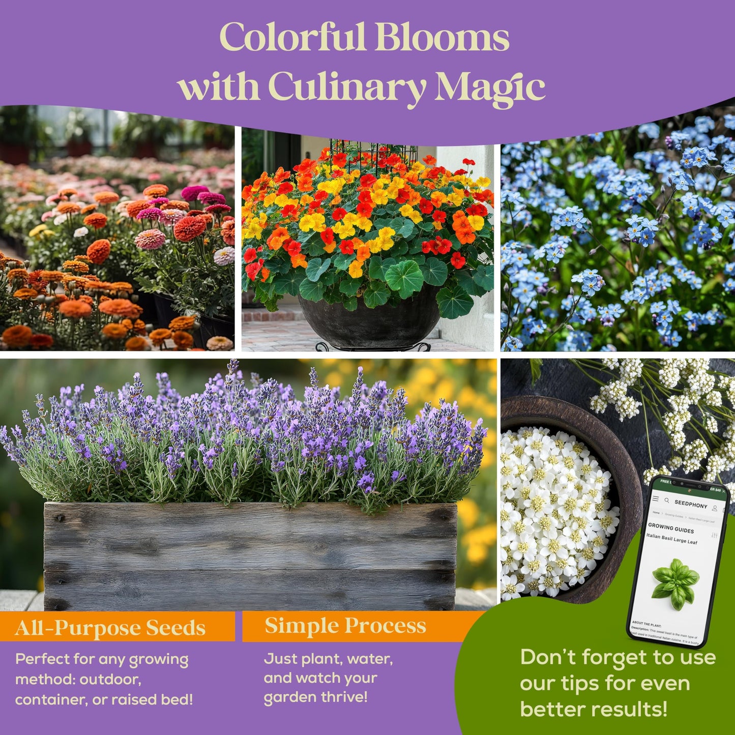 Seedphony 24 Gourmet Culinary Flower Seeds Variety Pack - 7,790+ Non-GMO Heirloom Flower Seeds for Planting Indoor & Outdoor Home Garden - Culinary Flowers Seed Packets for Planting Edible Flowers