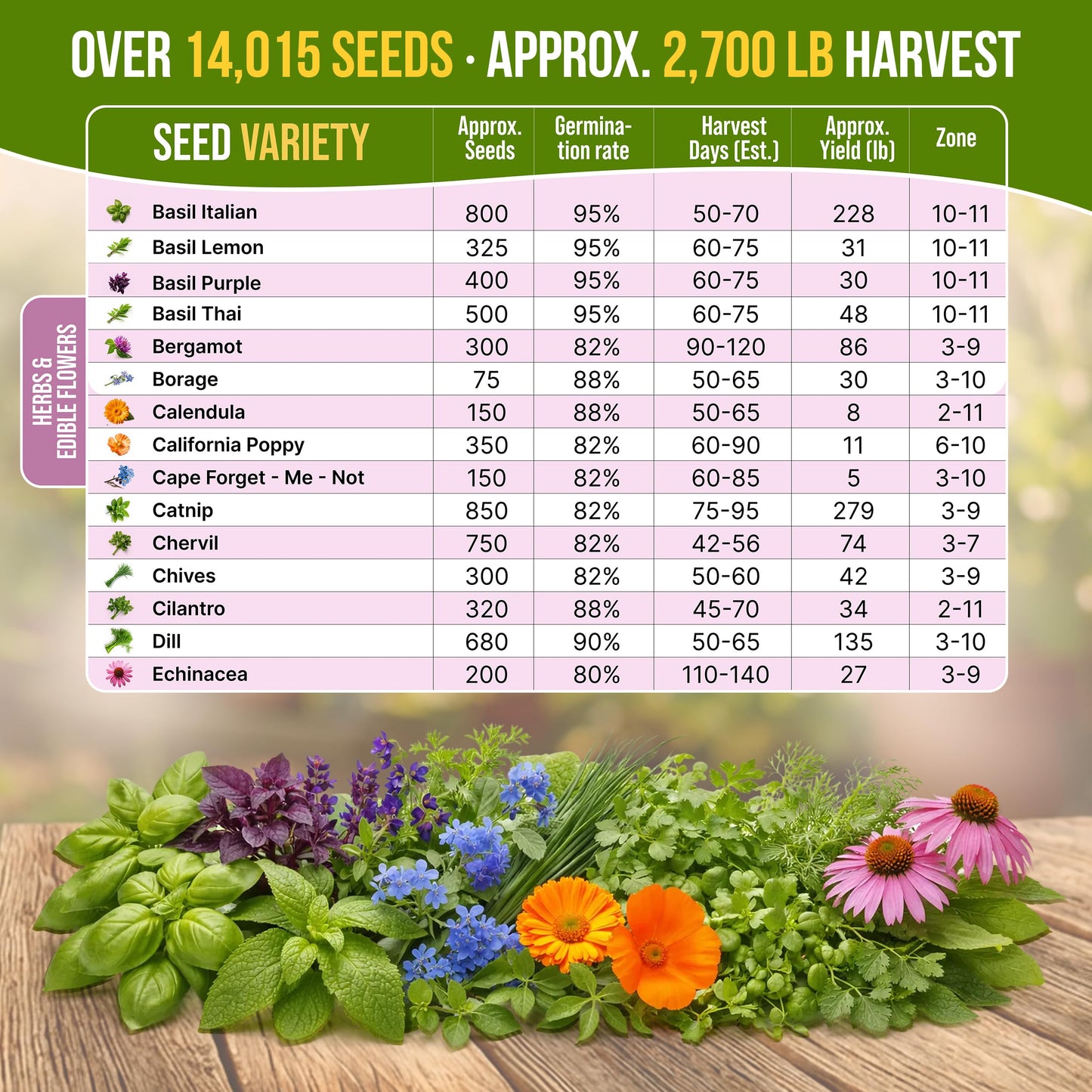Organo Republic 30 Culinary Herbs & Edible Flower Seed Variety Pack- Indoor/Outdoor. 14000+ Non-GMO Heirloom Flower Seeds: Basil, Borage, Echinacea, Lavender, Oregano, Rosemary Seeds & More