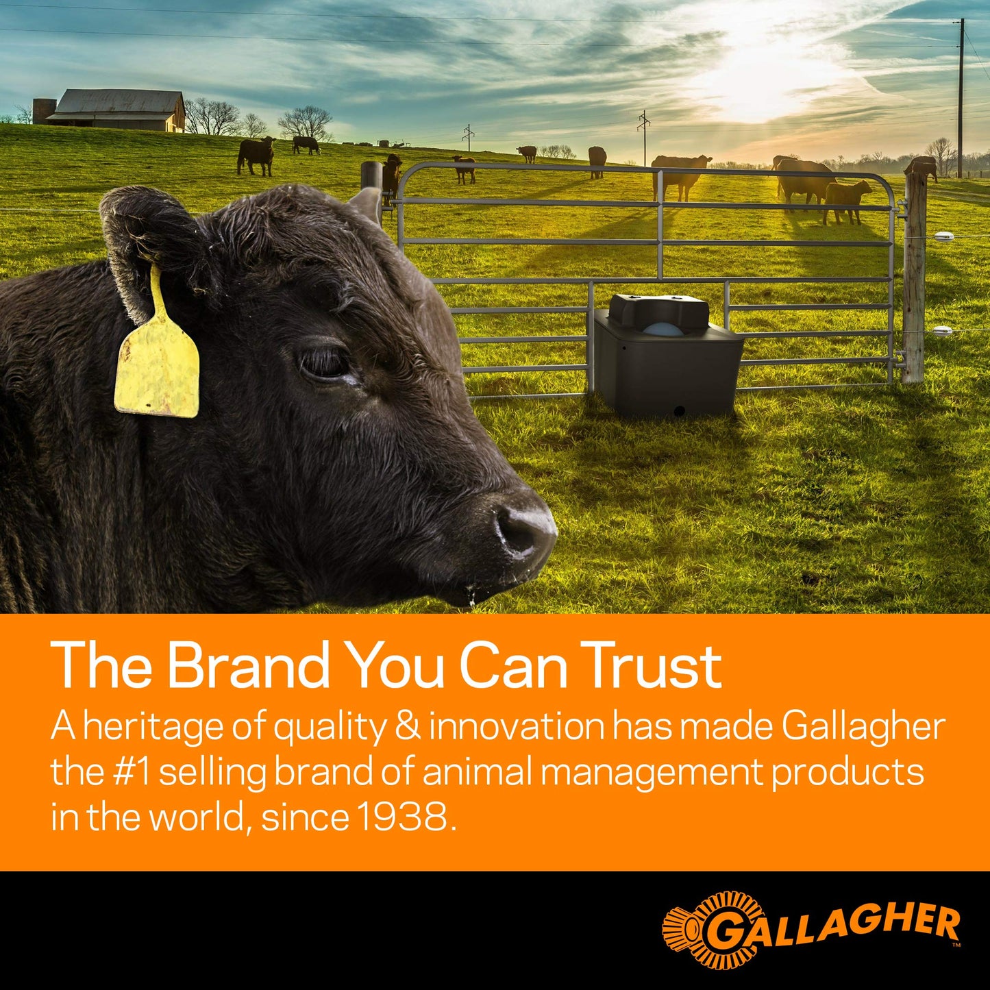 Gallagher S100 Solar Electric Fence Charger | Powers Up to 30 Mile / 100 Acres of Fence | Low Impedance, 1.0 Stored Joule Energizer | Battery Saving Technology | Solar Battery & Leadsets Included