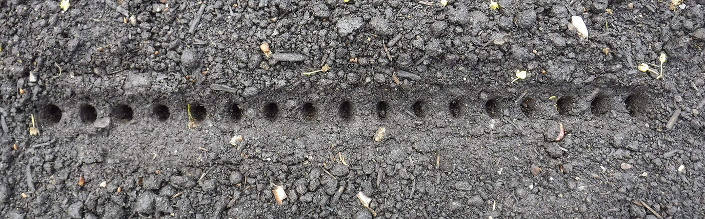 Gardinnovations Seed-in Soil Digger and Soil Spacer for Planting Seeds
