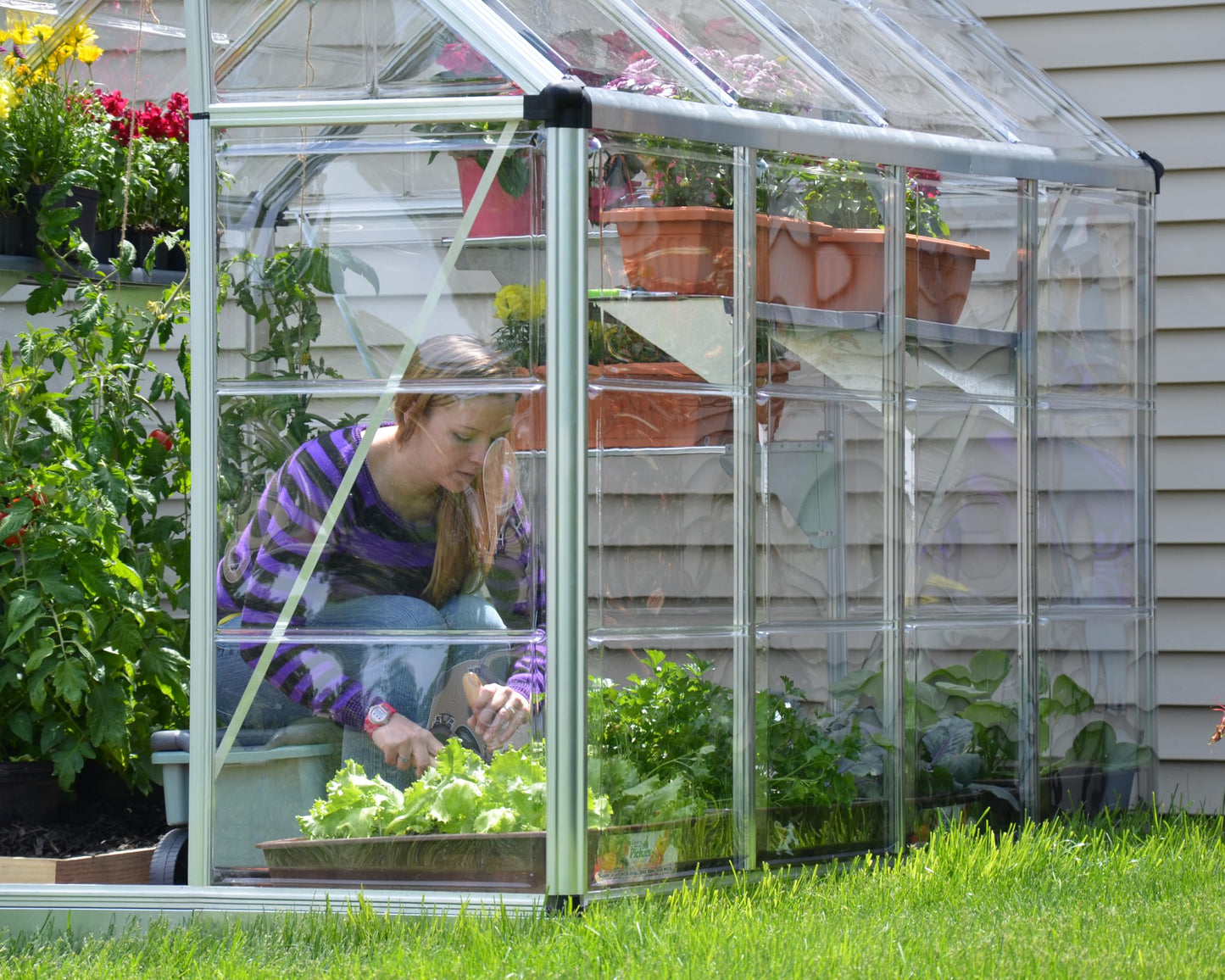 Palram - Canopia Snap & Grow 8 Ft. x 8 Ft. Greenhouse Kit Hobby DIY Walk in Green House Heavy Duty Polycarbonate, Aluminium Frame, with Lockable Door and Vent for Outdoors, Garden, Backyard in Silver