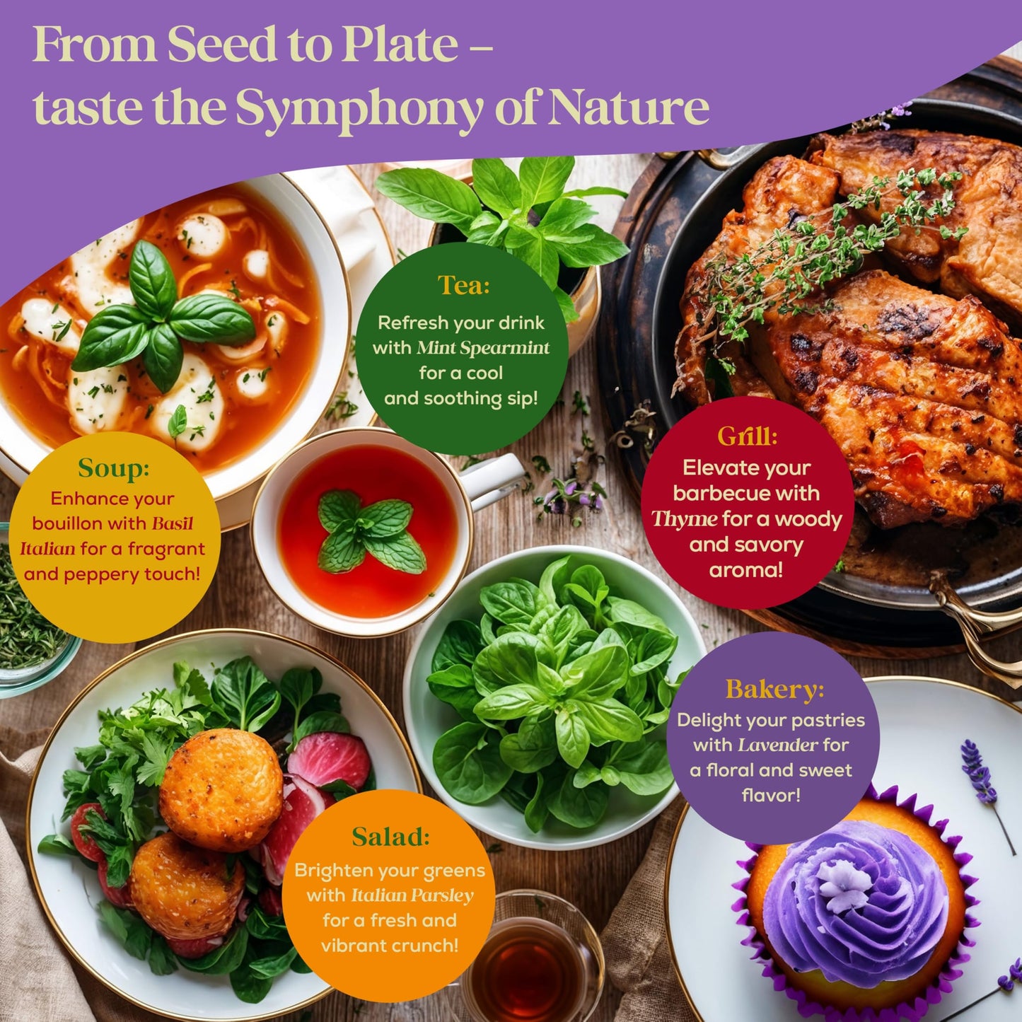 25 Culinary Herb Seeds Variety Pack - 13,055+ Non-GMO Heirloom Herbs Seeds for Planting Indoor & Outdoor: Rosemary, Basil, Catnip, Cilantro, Dill, Parsley, Oregano, Thyme, Mint, Tarragon, Lavender
