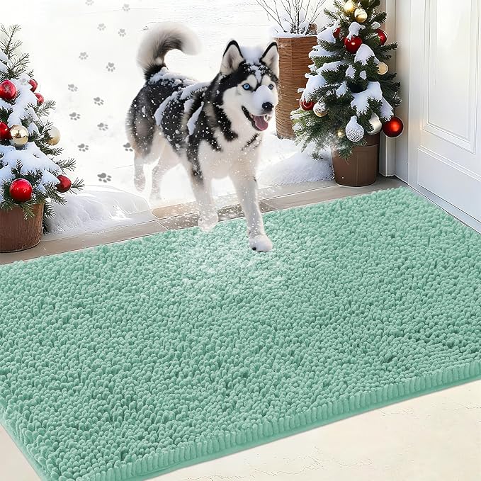 IM HOME Chenille Absorbent Outdoor Doormat 60" x 36", Washable Muddy Door Mats for Dog Non Slip Indoor Doormat Dog Mat for Muddy Paw Front Inside Doormats for Entryway Seafoam Green