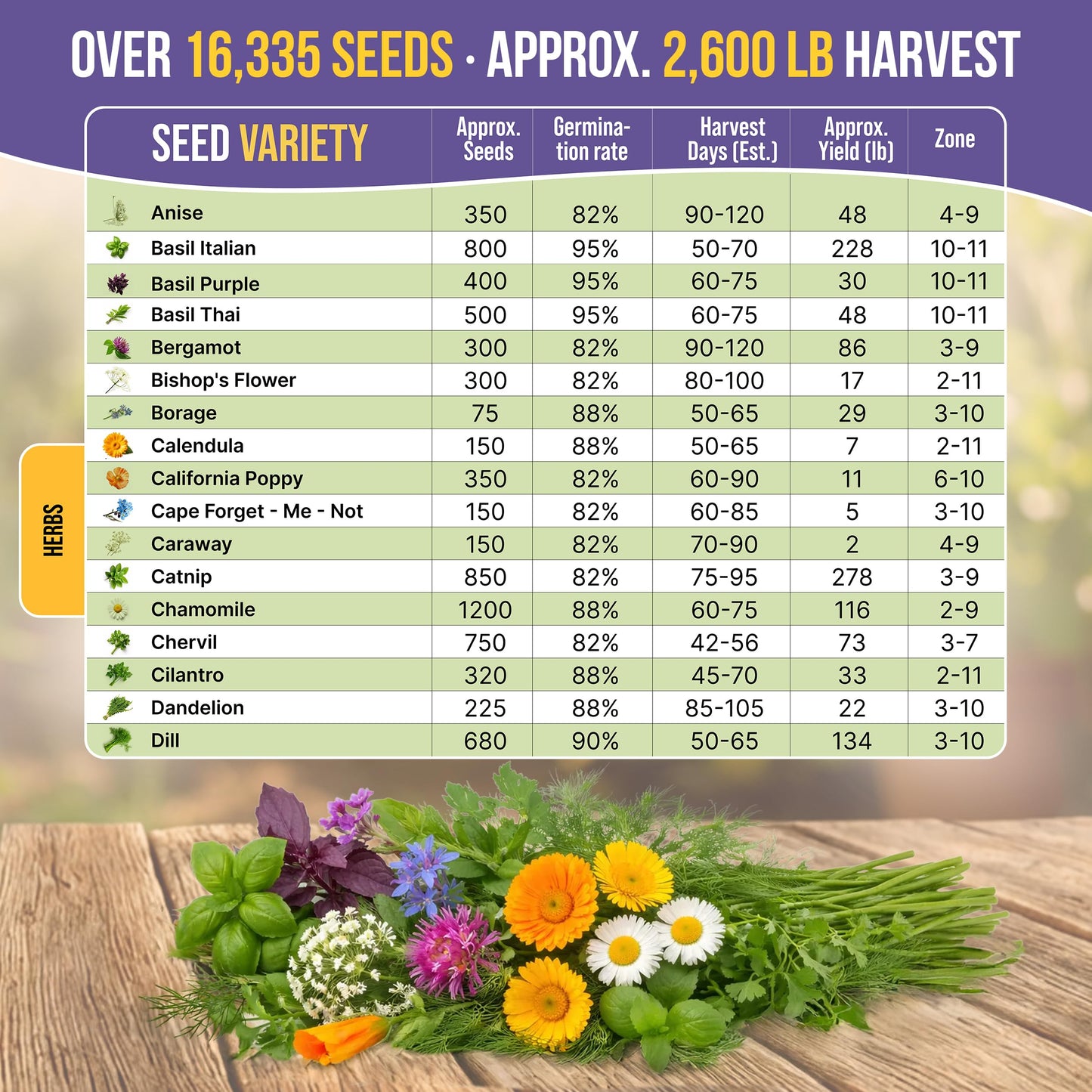 35 Medicinal & Tea Herb Seeds Variety Pack for Indoor & Outdoors. 16,335+ Non-GMO Heirloom Garden Seeds: Anise, Bergamot, Borage, Cilantro, Chamomile, Dandelion, Rosemary Seeds & More