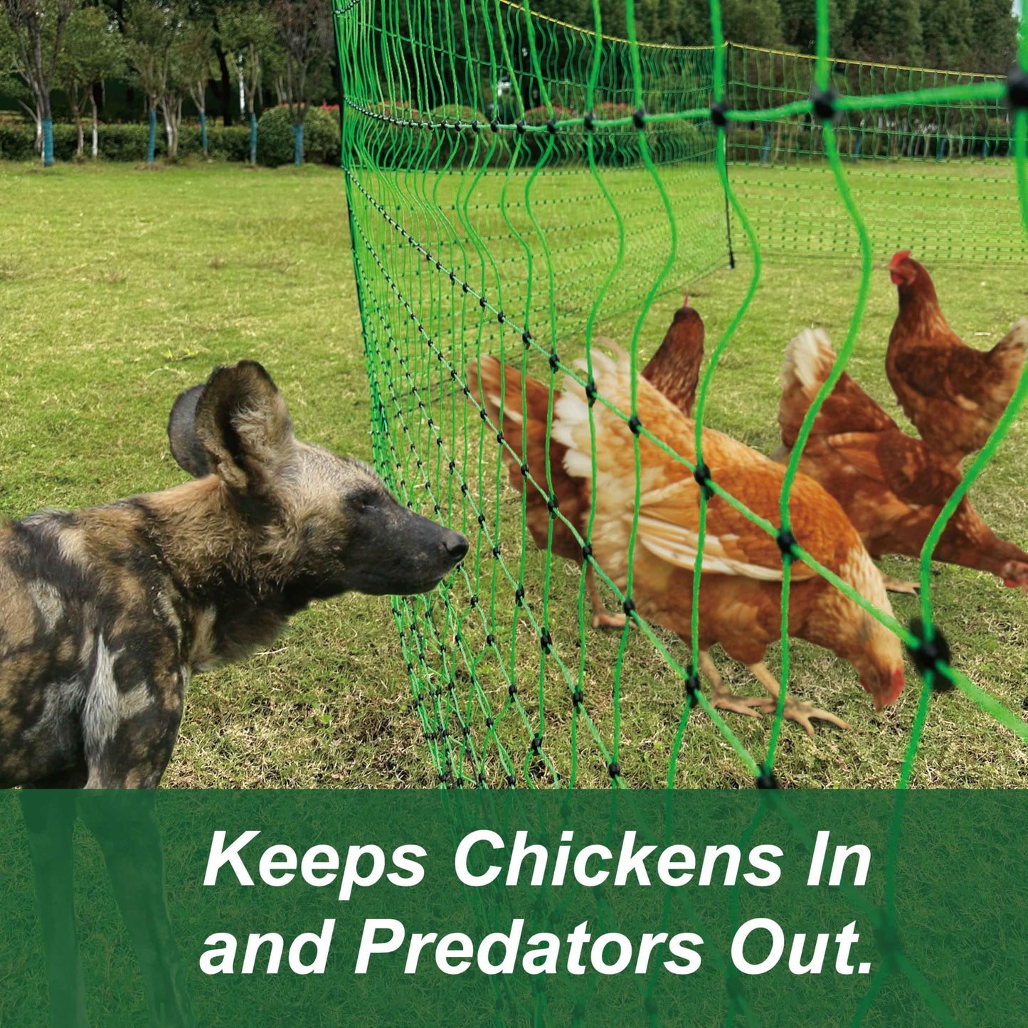 1 Pack Premium Portable Pre-Assembled Poultry Netting Electric Fence 47.3" x 98.5', Green,Utility Portable Mesh for Chickens, Ducks,Geese,Rabbits,Used in Backyards,Farms,and Ranches