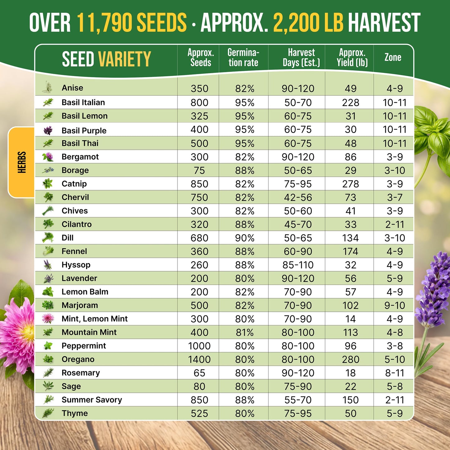 25 Most Popular Herb Seeds Variety Pack - 11,700 Non-GMO Heirloom Seeds for Planting Herbs in Individual Seed Packets for Hydroponic, Indoor & Outdoor Gardening - 2026 Season: Catnip, Dill, Thyme