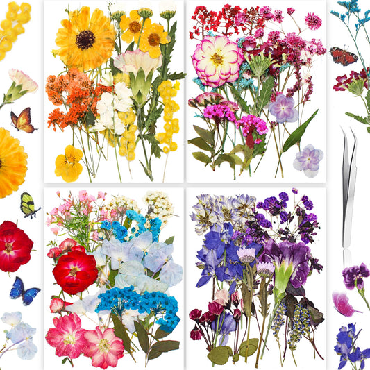 221PCS Real Nature Dried Pressed Flowers for Resin Craft, Dry Pressing Floral with Butterfly Transparent Stickers Set for DIY Jewelry Making Nail Card Scrapbook Art Eternity Summer