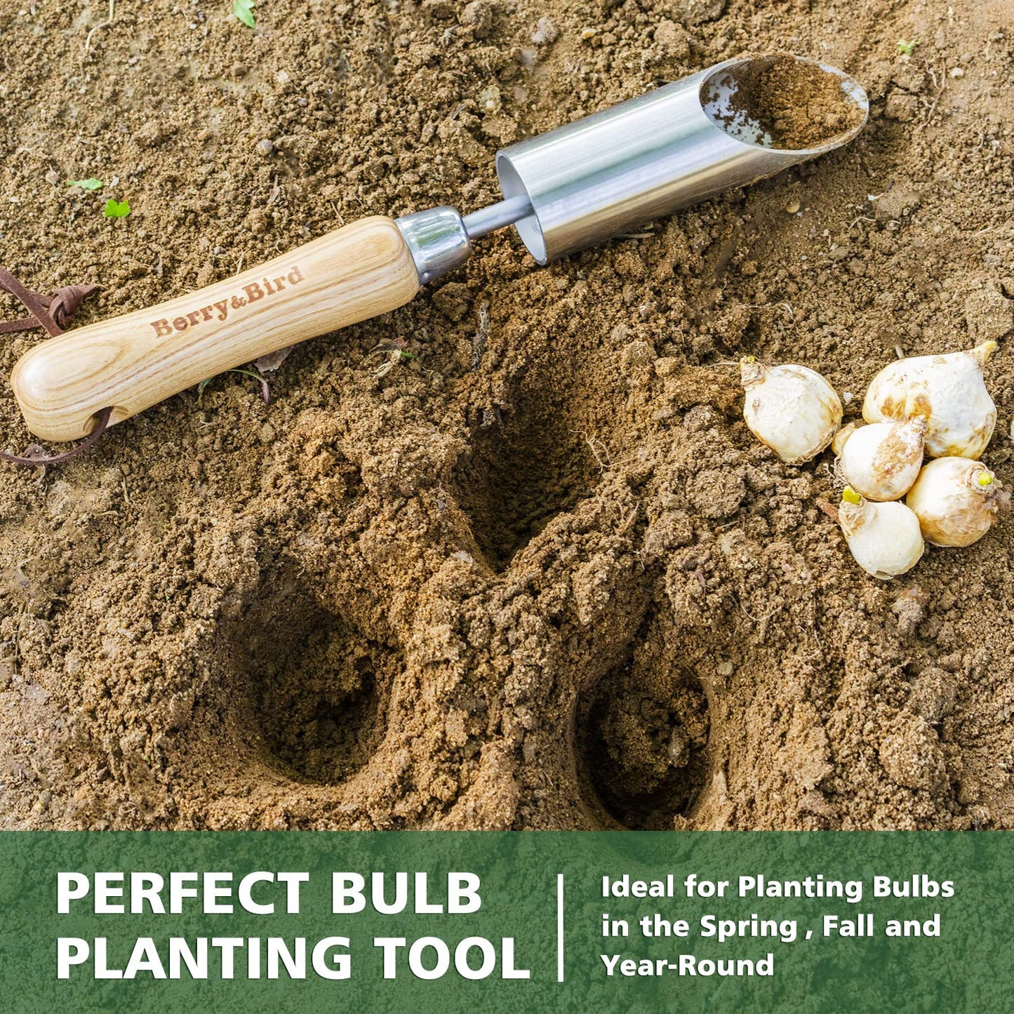 Berry&Bird Bulb Planter Tool, 12" Garden Bulb Transplanter Tool, Stainless Steel Manual Hole Digger with Wooden Handle, Transplanting Agricultural Dibble Tool for Seed Planting & Flower Planter