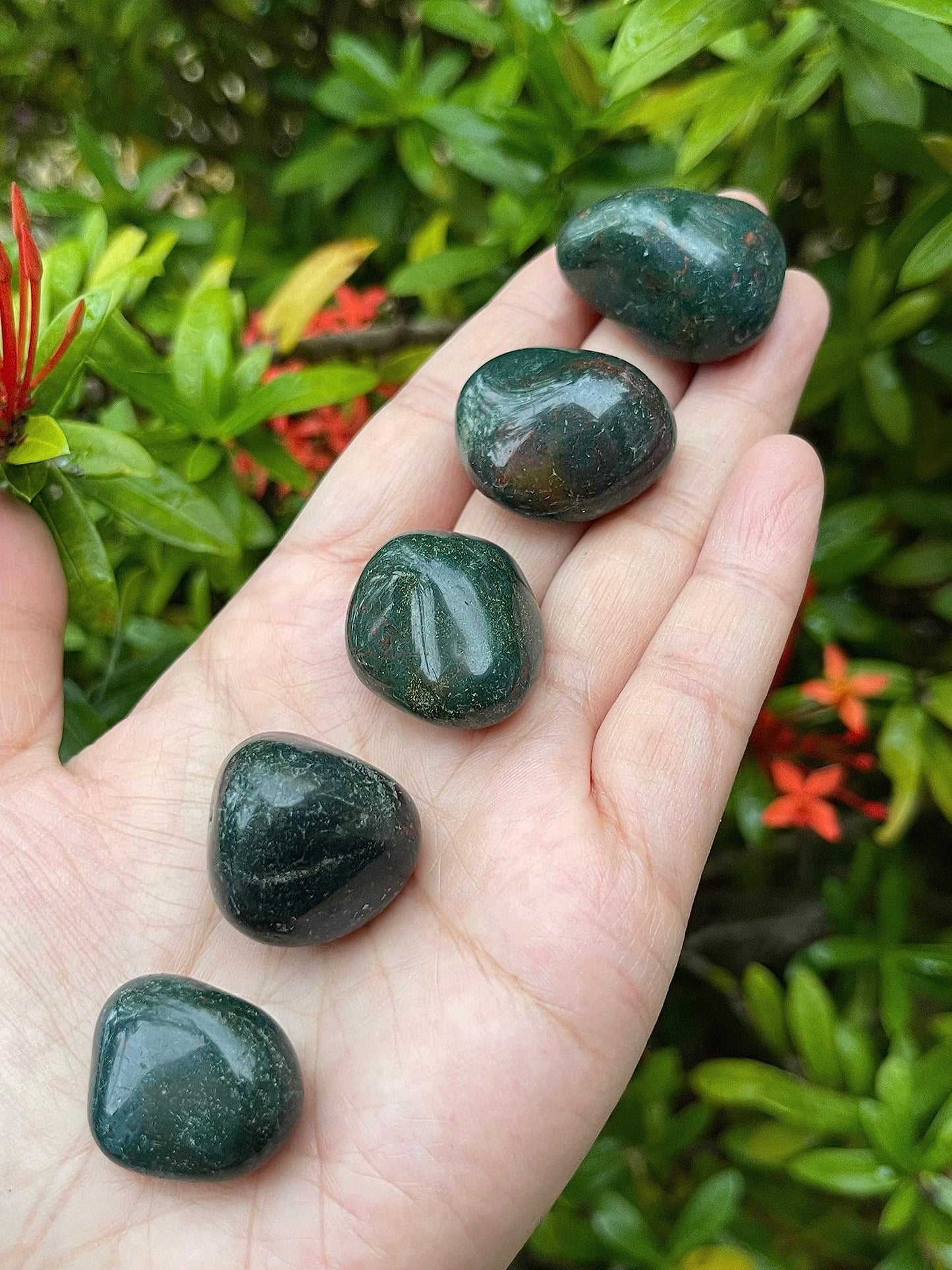 GAF TREASURES 5 Pcs Bloodstone Tumbled Stones, Polished Natural Bloodstone Gemstone, Bloodstone Healing Crystals (Bloodstone)