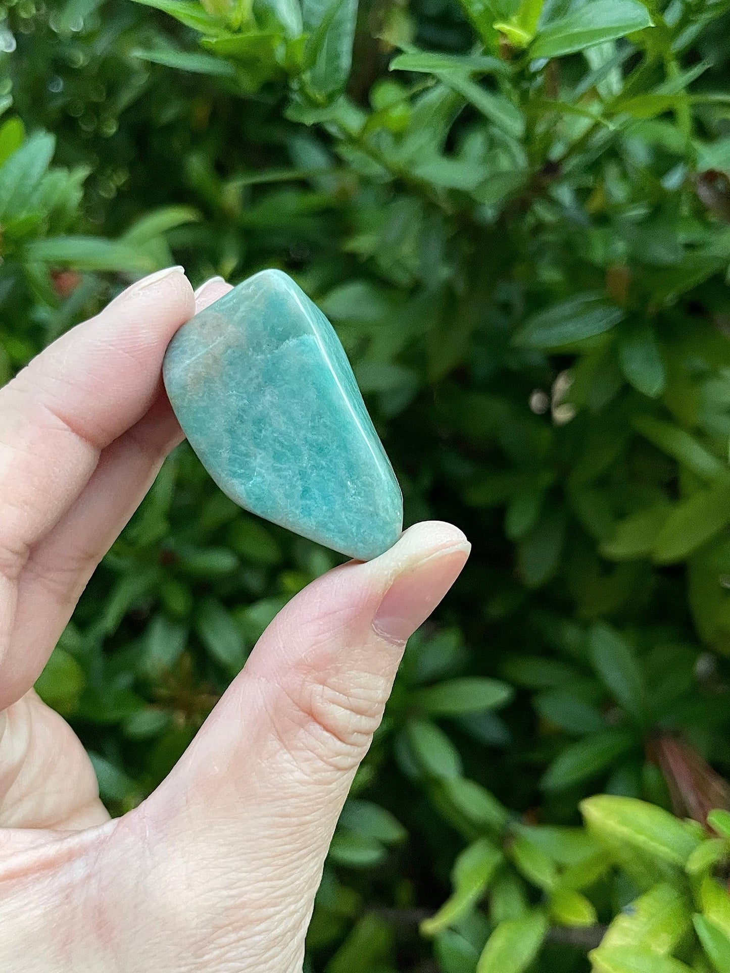 WHOLESALE Amazonite Tumbled Stones, Polished Amazonite Gemstone, Amazonite Polished Rocks (Amazonite, 0.25 Pound)