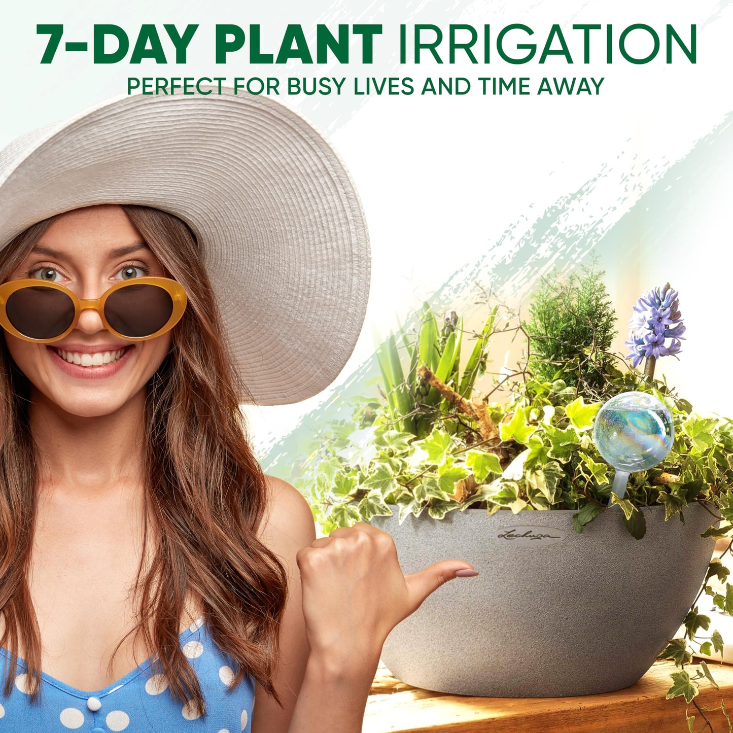 Mission Gallery Clear Plant Watering Globes Set of 2 - Large Self Watering Globes for Indoor & Outdoor Plants - Automatic, Glass Watering Bulbs for Daily Use, Plant Watering Devices