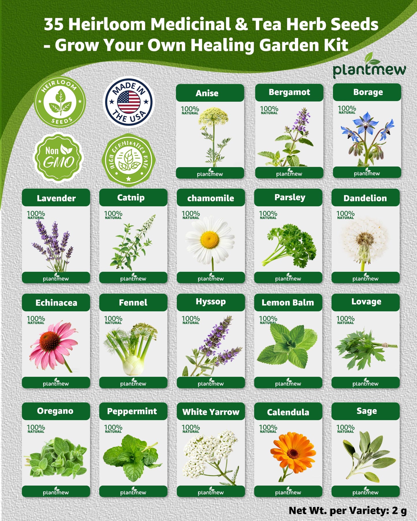 Medicinal & Tea Herb Seeds for Planting - 35 Non-GMO Variety Pack for Indoor/Outdoor Garden: Anise, Bergamot, Borage, Fennel, Chamomile, Dandelion, Oregano, Hyssop, Catnip Seeds & More