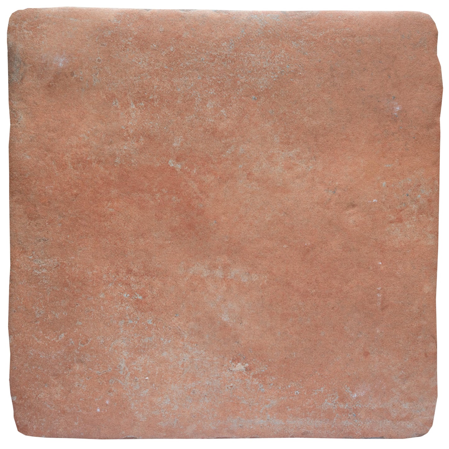 Benisa Cotto 11-7/8" x 11-7/8" Porcelain Floor and Wall Tile