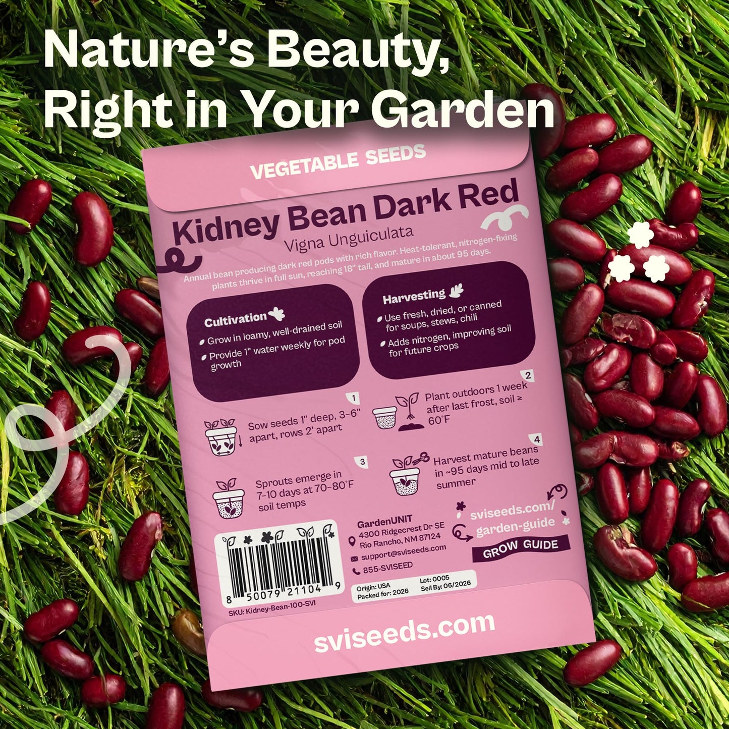 SVI 50 Dark Red Kidney Beans Seeds (Phaseolus vulgaris L.) – Rajma, Surkh Lobia, Heat-Tolerant, Protein-Rich – Heirloom Vegetable Seeds for Outdoor Garden & Raised Beds