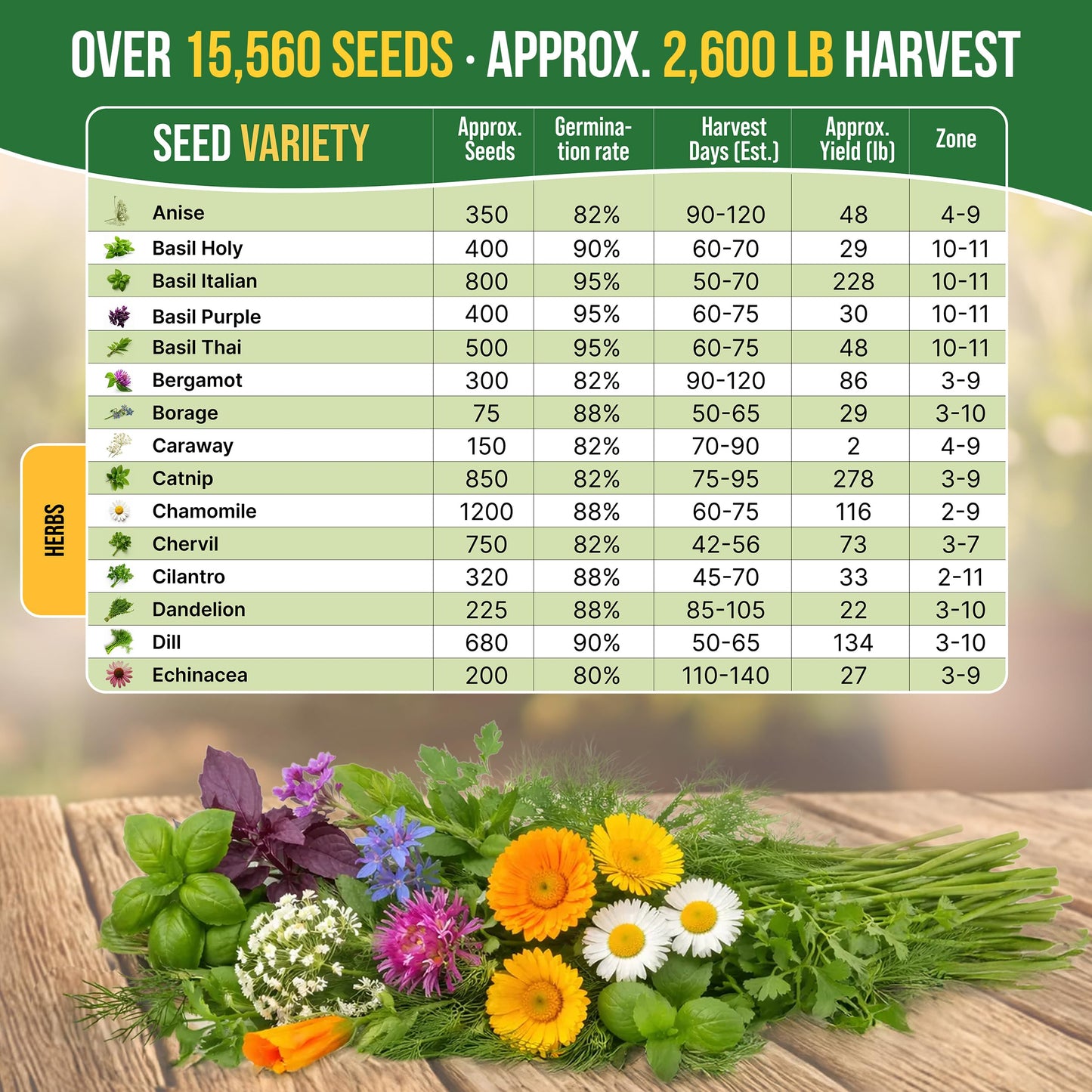 Organo Republic 30 Medicinal & Tea Herb Seeds Variety Pack 15,560+ Non-GMO Heirloom Garden Seeds for Indoor & Outdoors, Including Anise, Bergamot, Borage, Cilantro, Chamomile, Dandelion Seeds