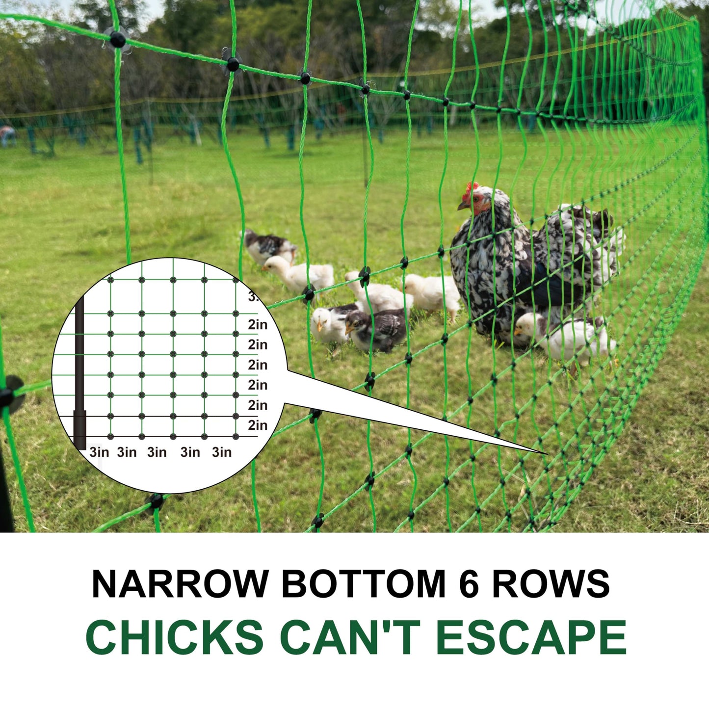 1 Pack Premium Portable Pre-Assembled Poultry Netting Electric Fence 47.3" x 98.5', Green,Utility Portable Mesh for Chickens, Ducks,Geese,Rabbits,Used in Backyards,Farms,and Ranches