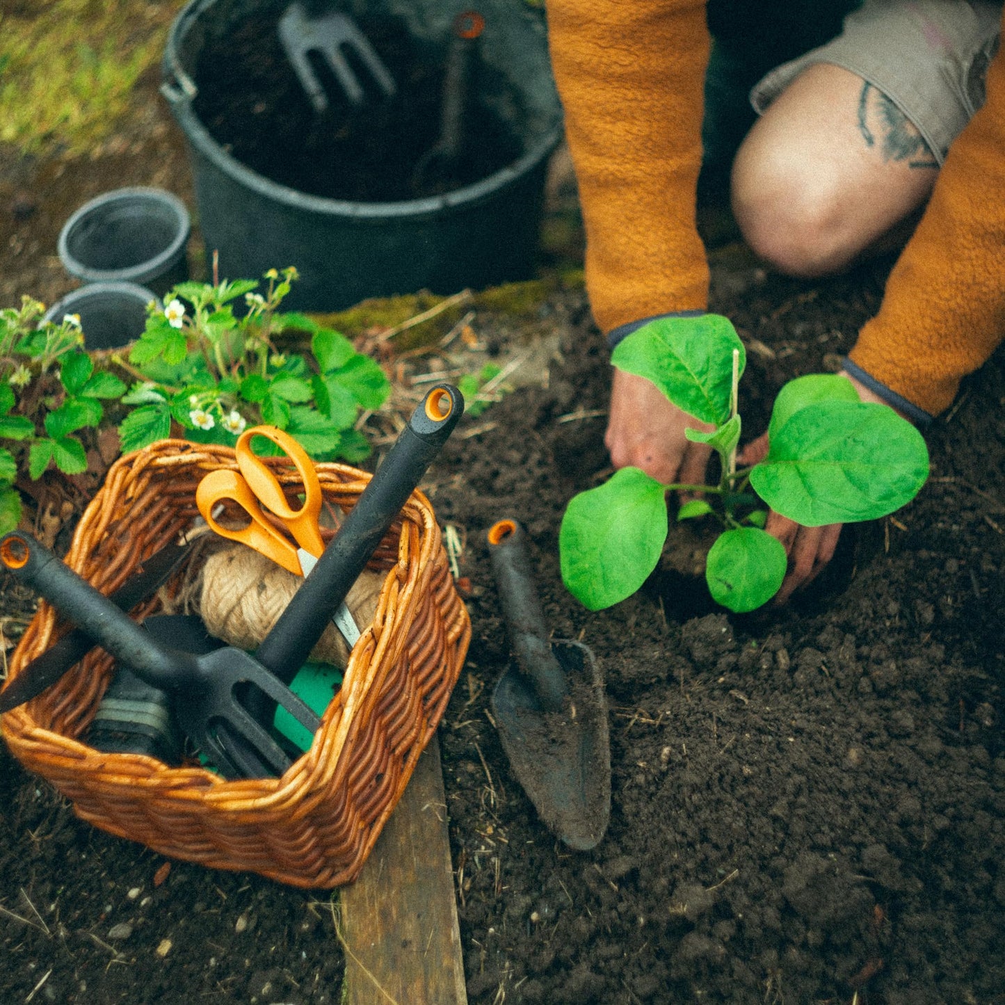 Fiskars Eco Cultivator with Wide Angled Tines, Ergonomic Handle, UV Resistance, Ideal for Loosening Soil and Removing Weeds