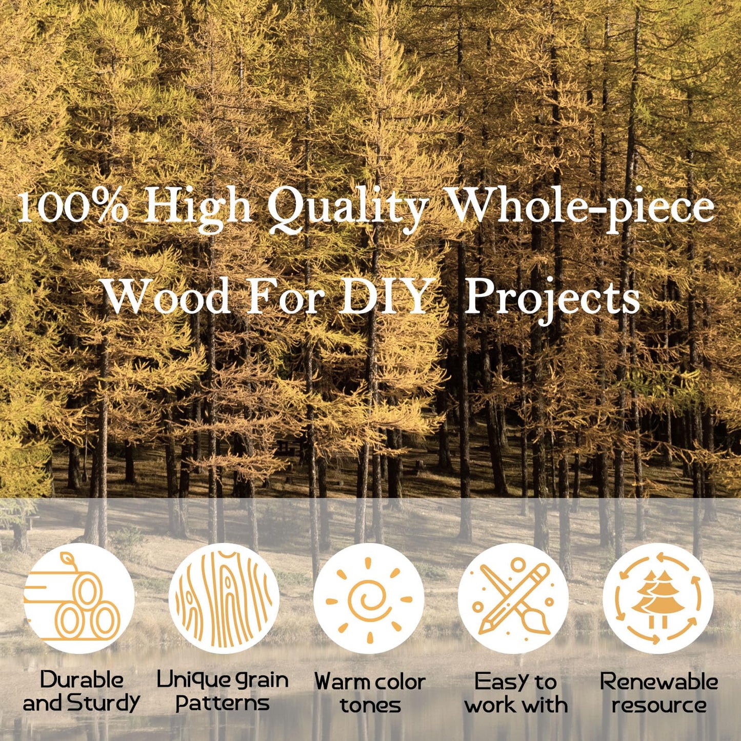 12 PCS 5 Inch Unfinished Wood Coasters, GOH DODD 4 Inch Wooden Blanks with Non-Slip Pads for Laser Engraving Wood Burning Staining Painting Decoupage Housewarming Gifts Wedding Crafts Education, Round
