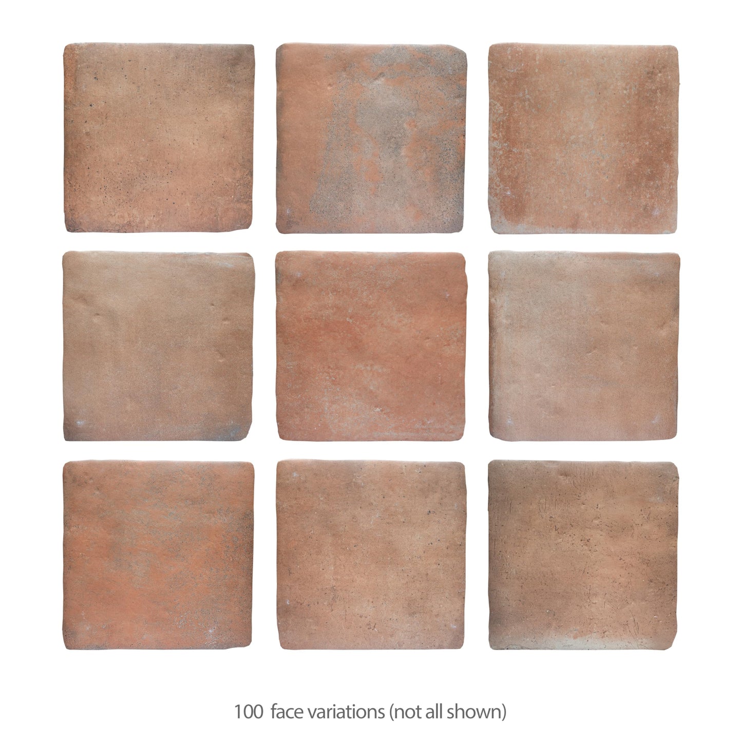 Benisa Cotto 11-7/8" x 11-7/8" Porcelain Floor and Wall Tile