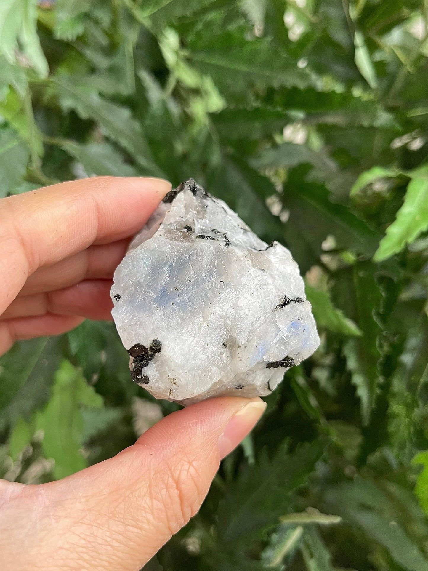 GAF TREASURES Wholesale Raw Rainbow Moonstone Crystals, Natural Rainbow Moonstone Stone, Rainbow Moonstone Rough, Rainbow Moonstone Healing Crystals (Rainbow Moonstone, 0.5 Pound)