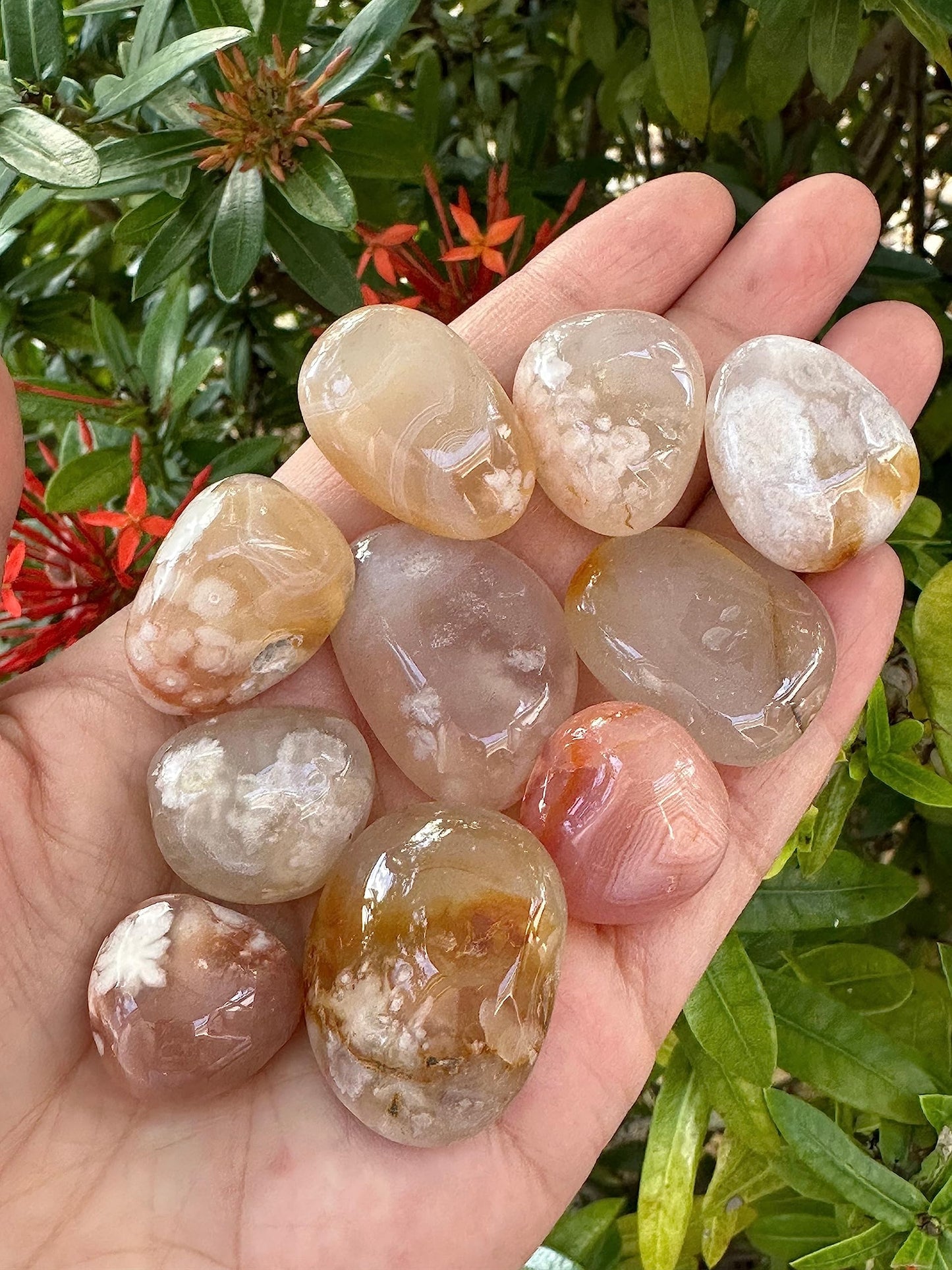 GAF TREASURES 5 Pcs Flower Agate Tumbled Stones, Polished Natural Flower Agate Gemstone, Flower Agate Healing Crystals (Flower Agate)